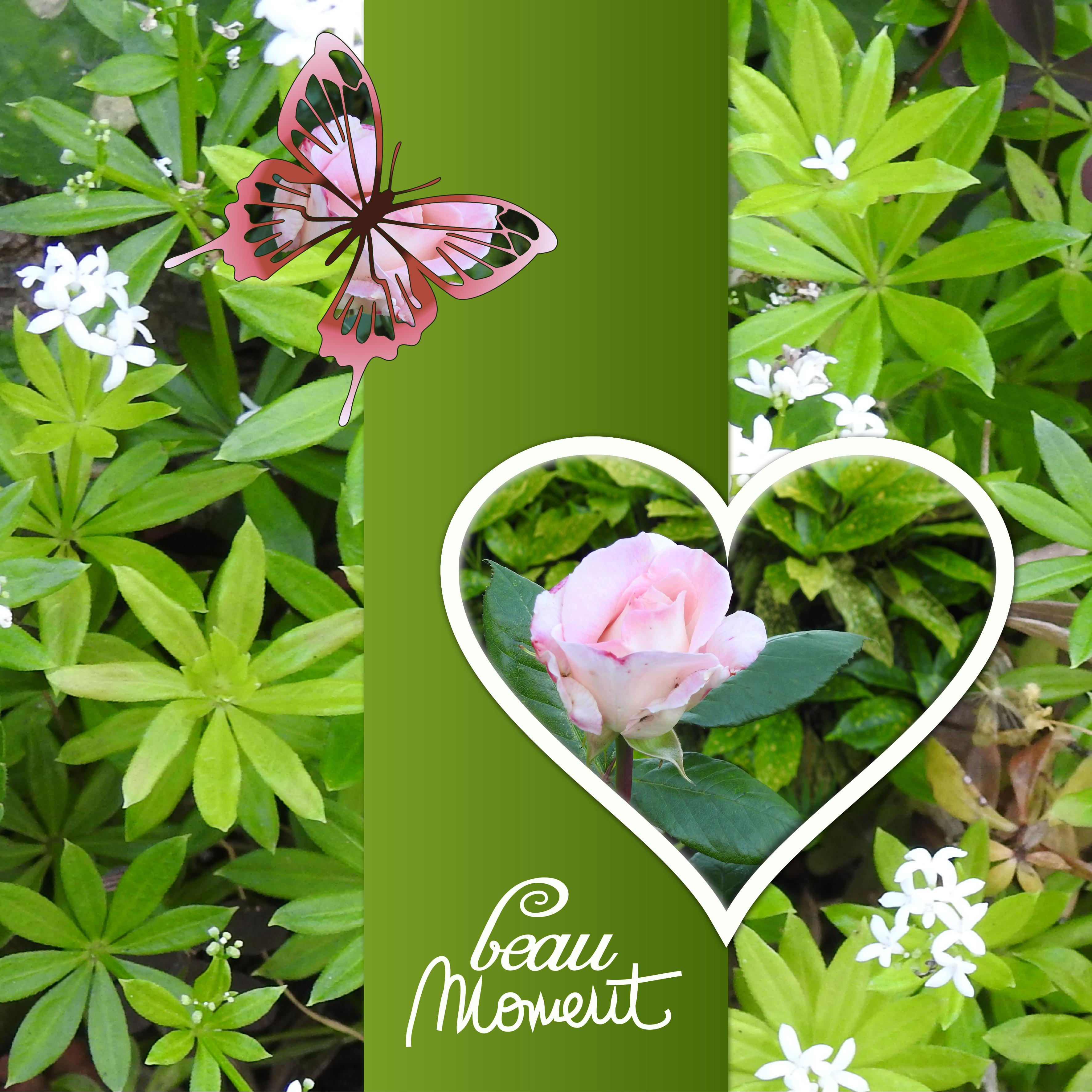 J-n41 - BEAU MOMENT.jpg