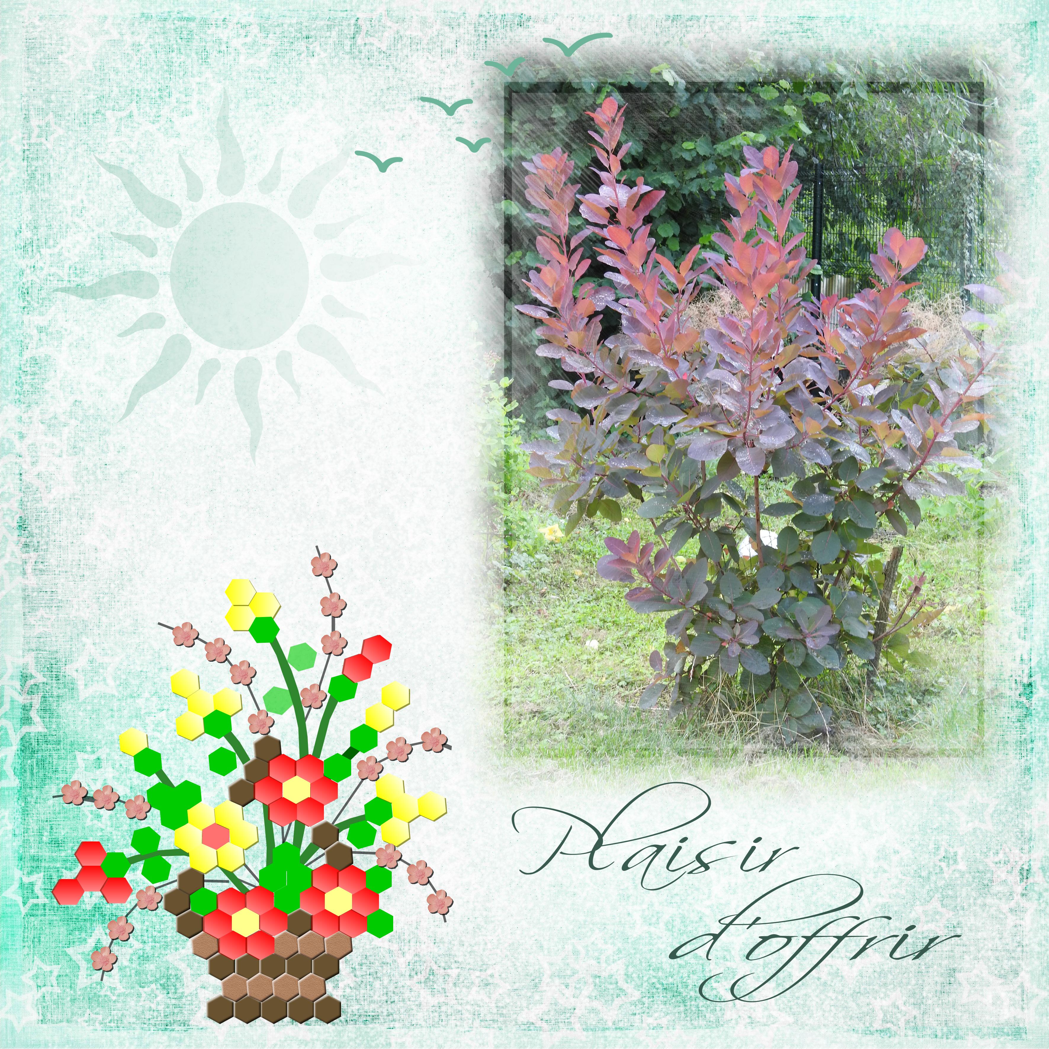 J-n41 - PLAISIR D'OFFRIR.jpg