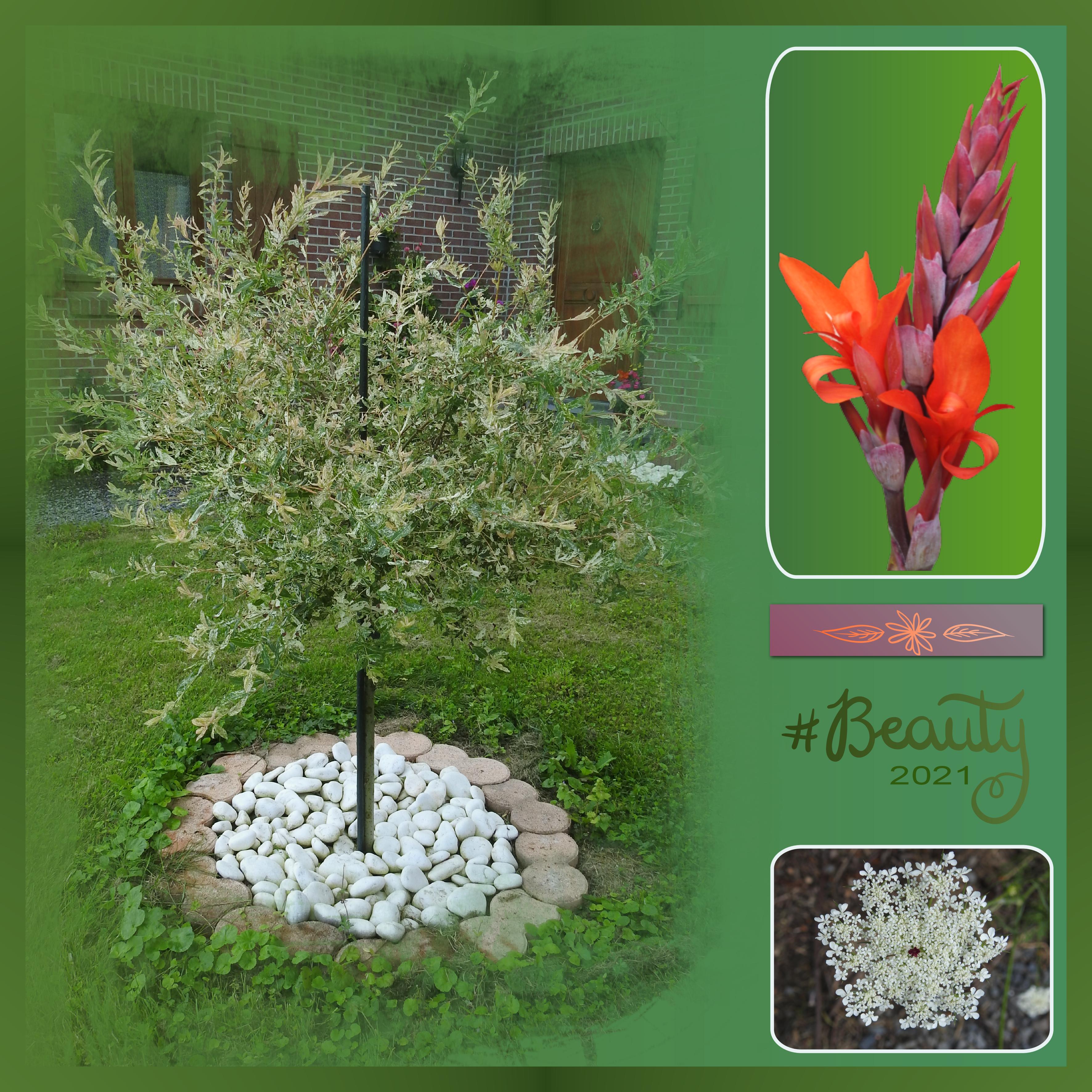 J-n42 - BEAUTY 2021 .jpg