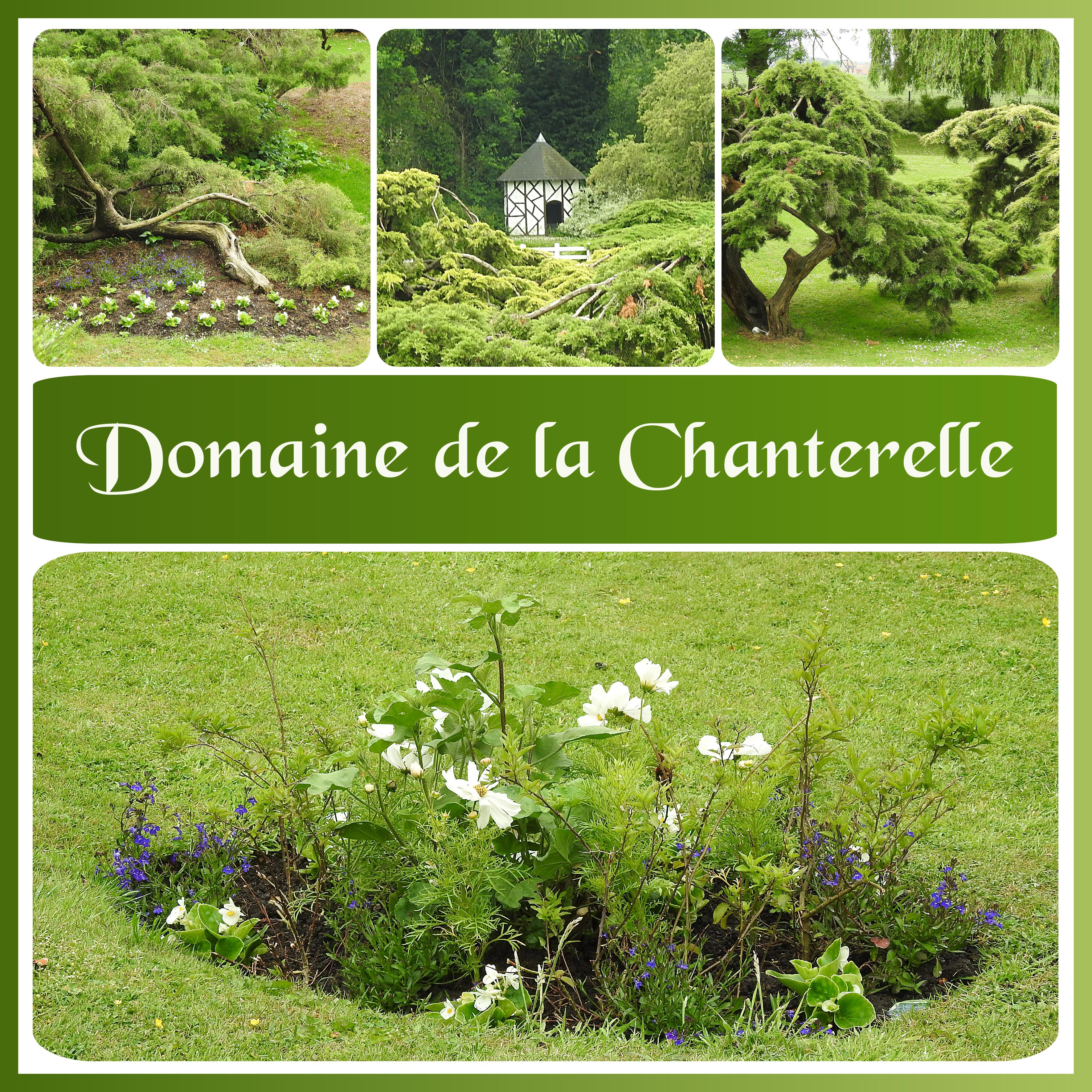 J-n42 - DOMAINE DE LA CHANTERELLE.jpg