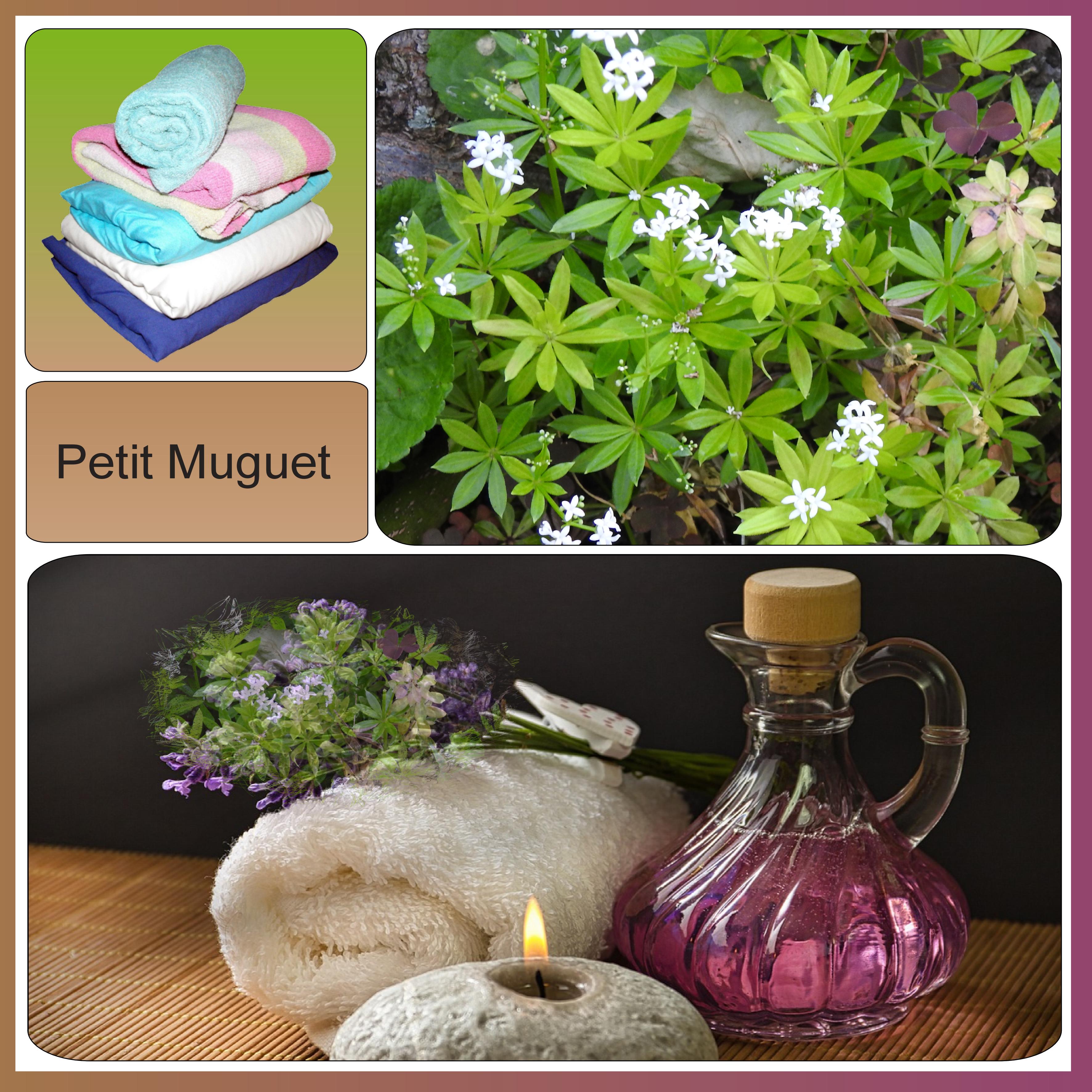 J-n43 - PETIT MUGUET .jpg