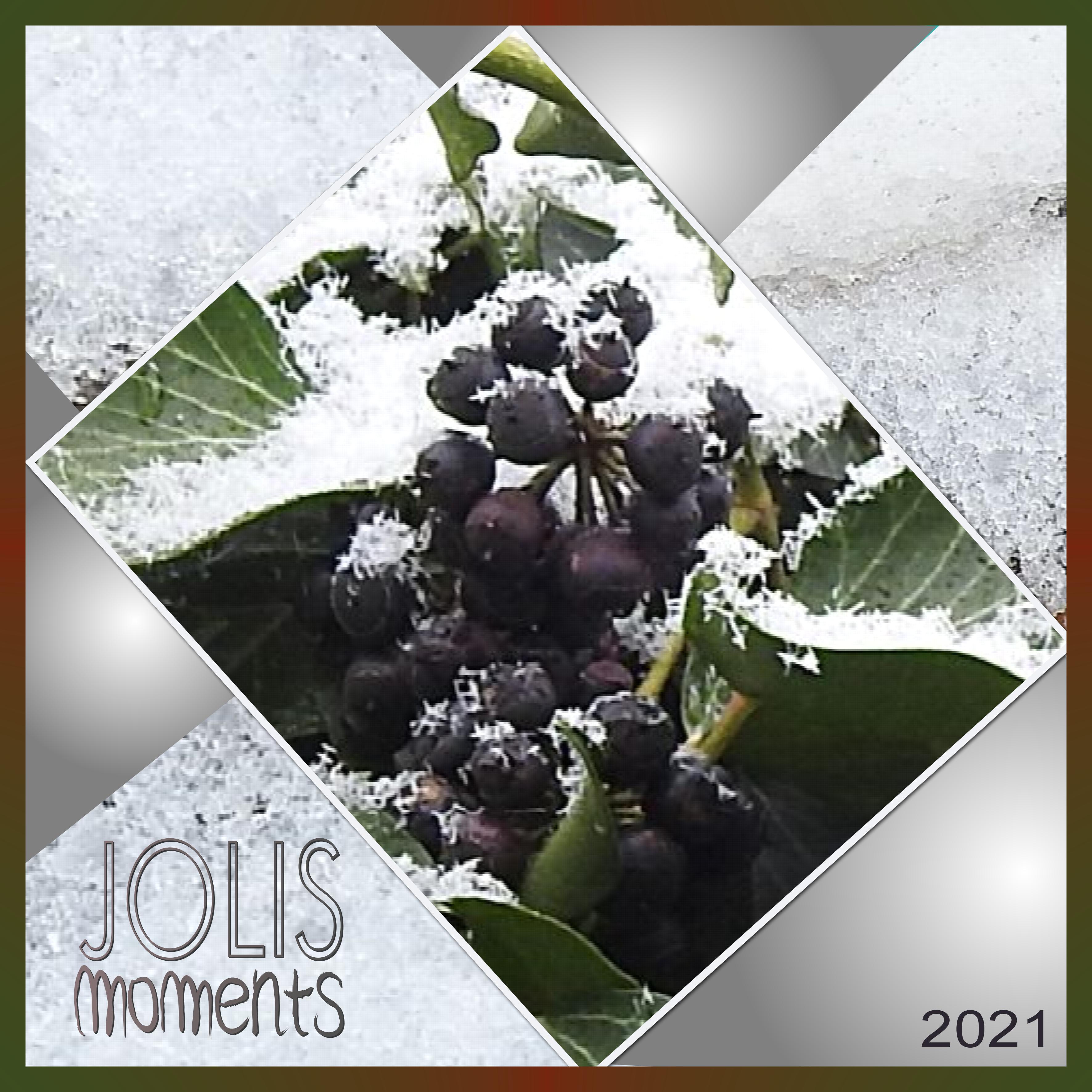 J-n44 - JOLIS MOMENTS.jpg