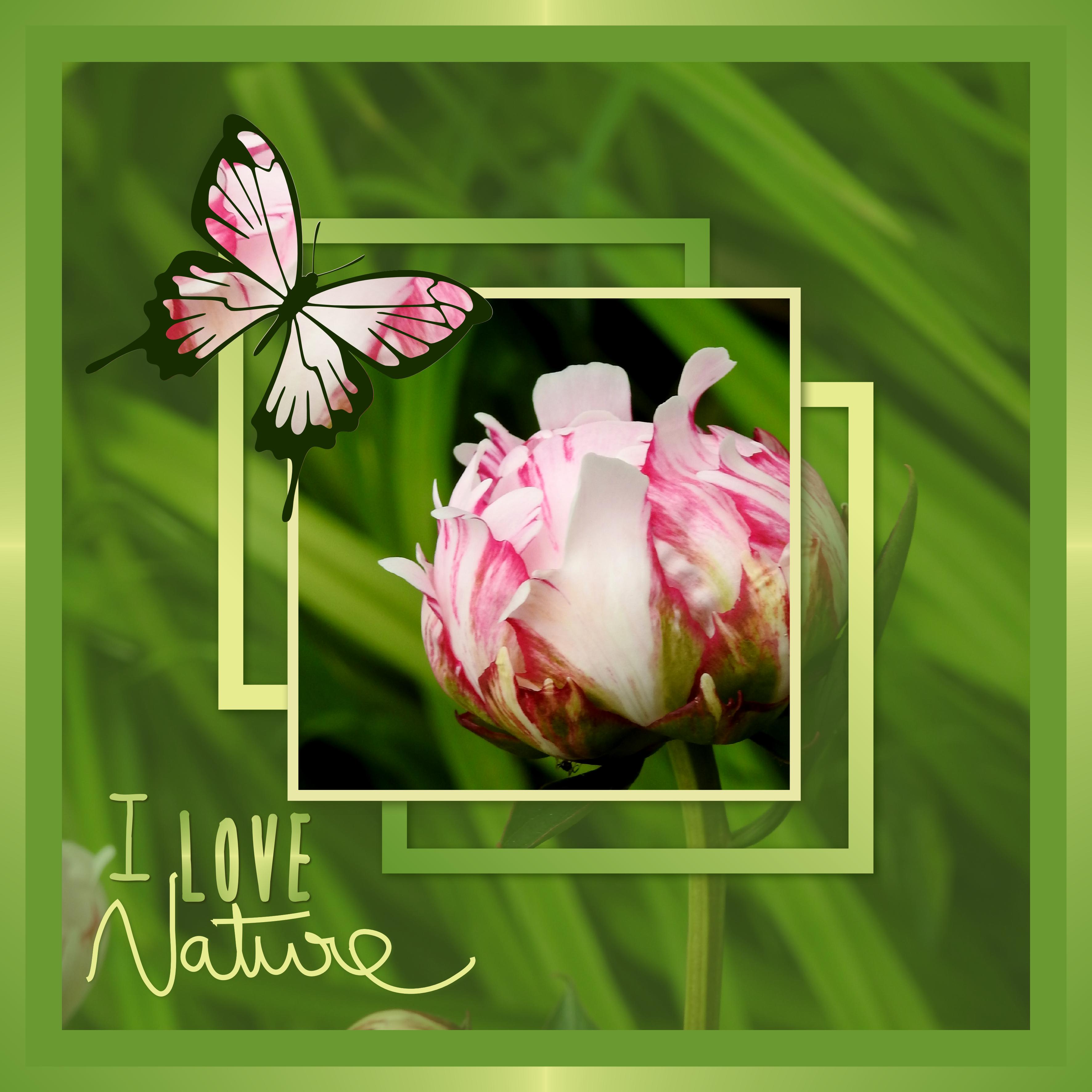 J-n46 - I LOVE NATURE.jpg