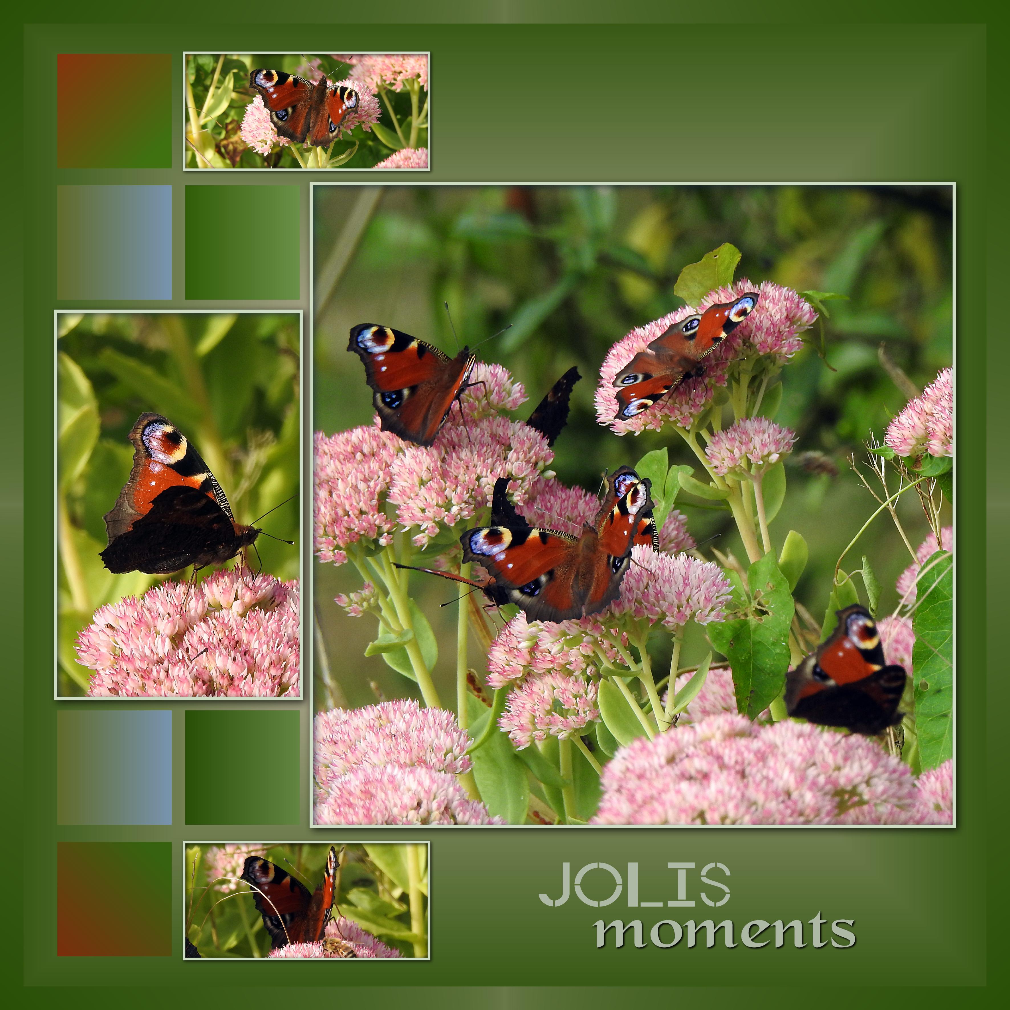 J-n47 -  JOLIS MOMENTS.jpg