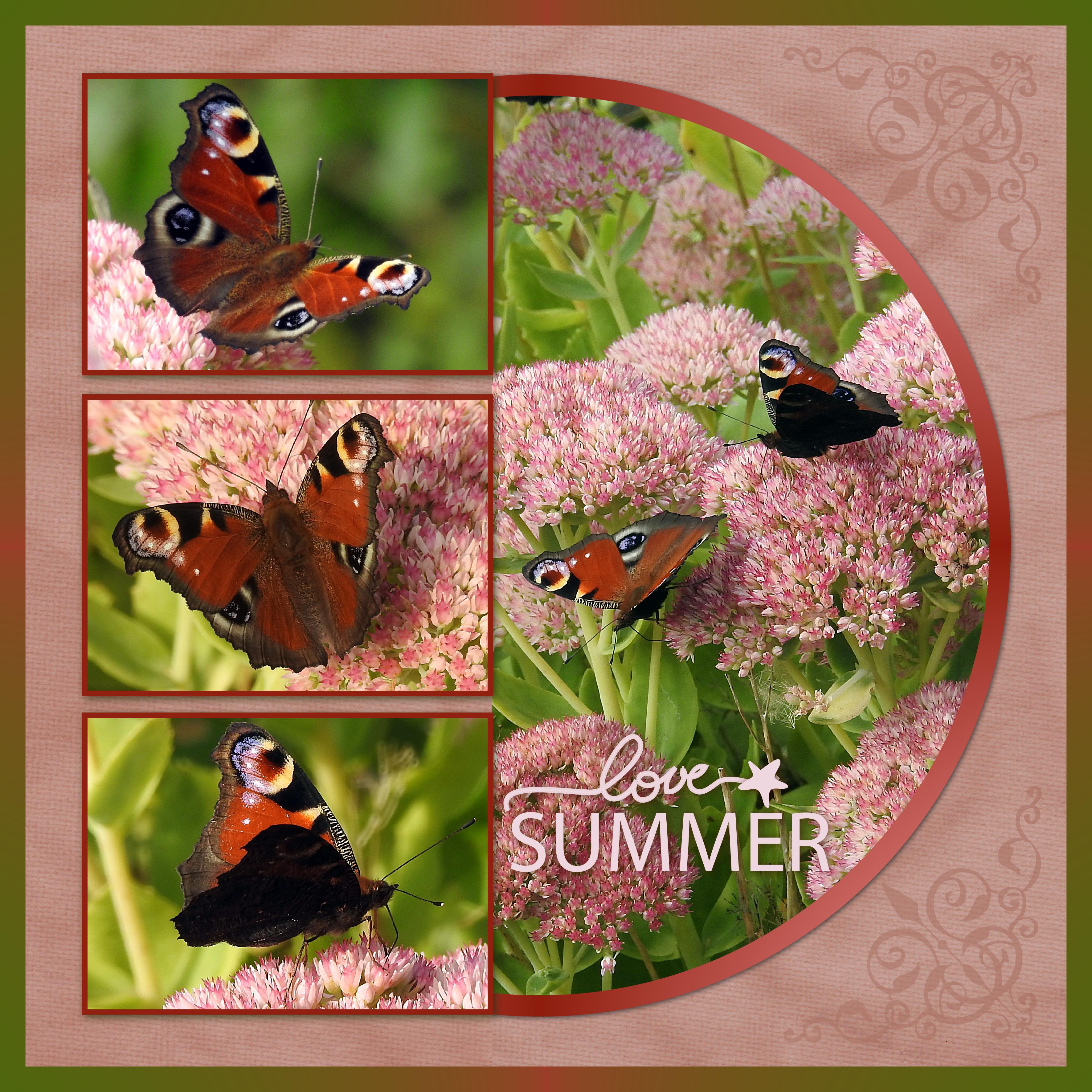 J-n48 - LOVE SUMMER.jpg