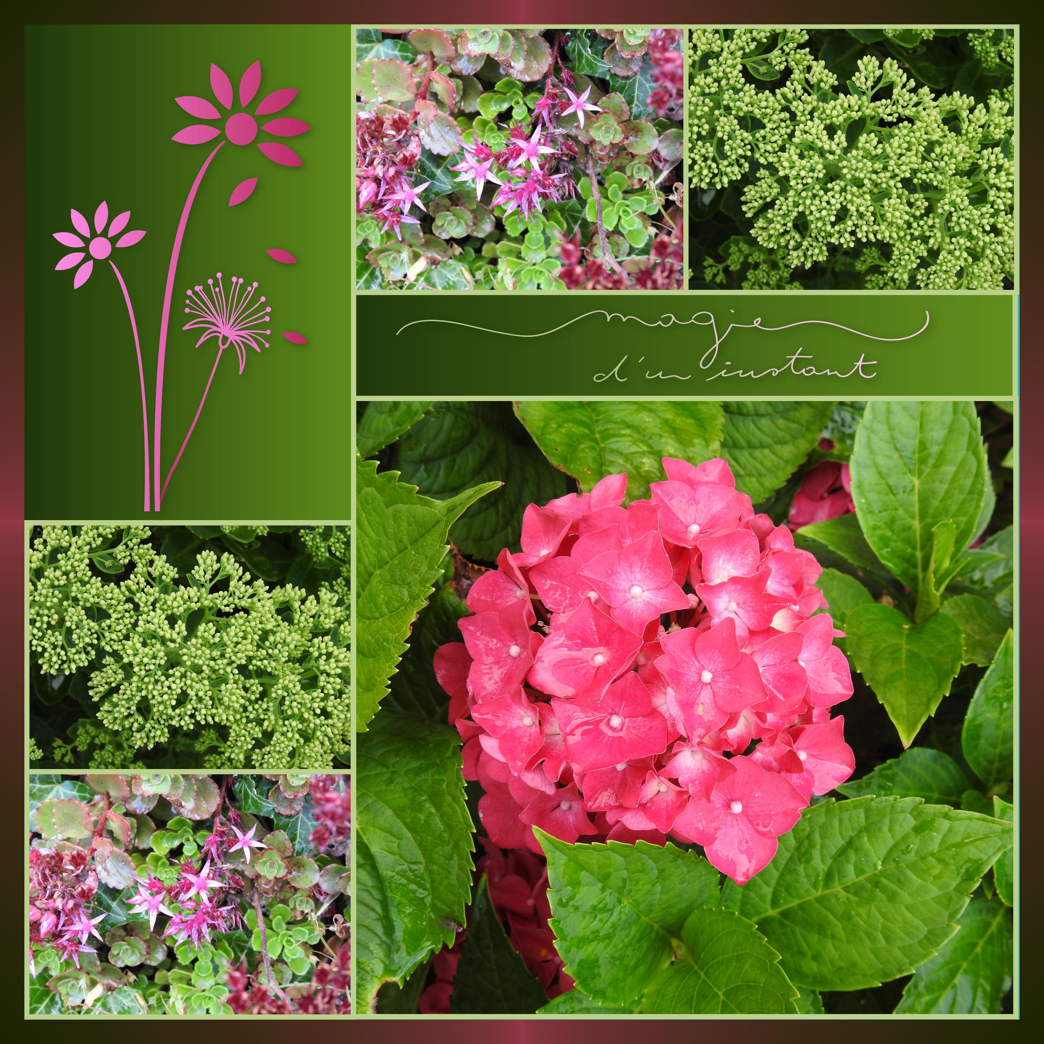 J-n48 - MAGIE D'UN INSTANT.jpg