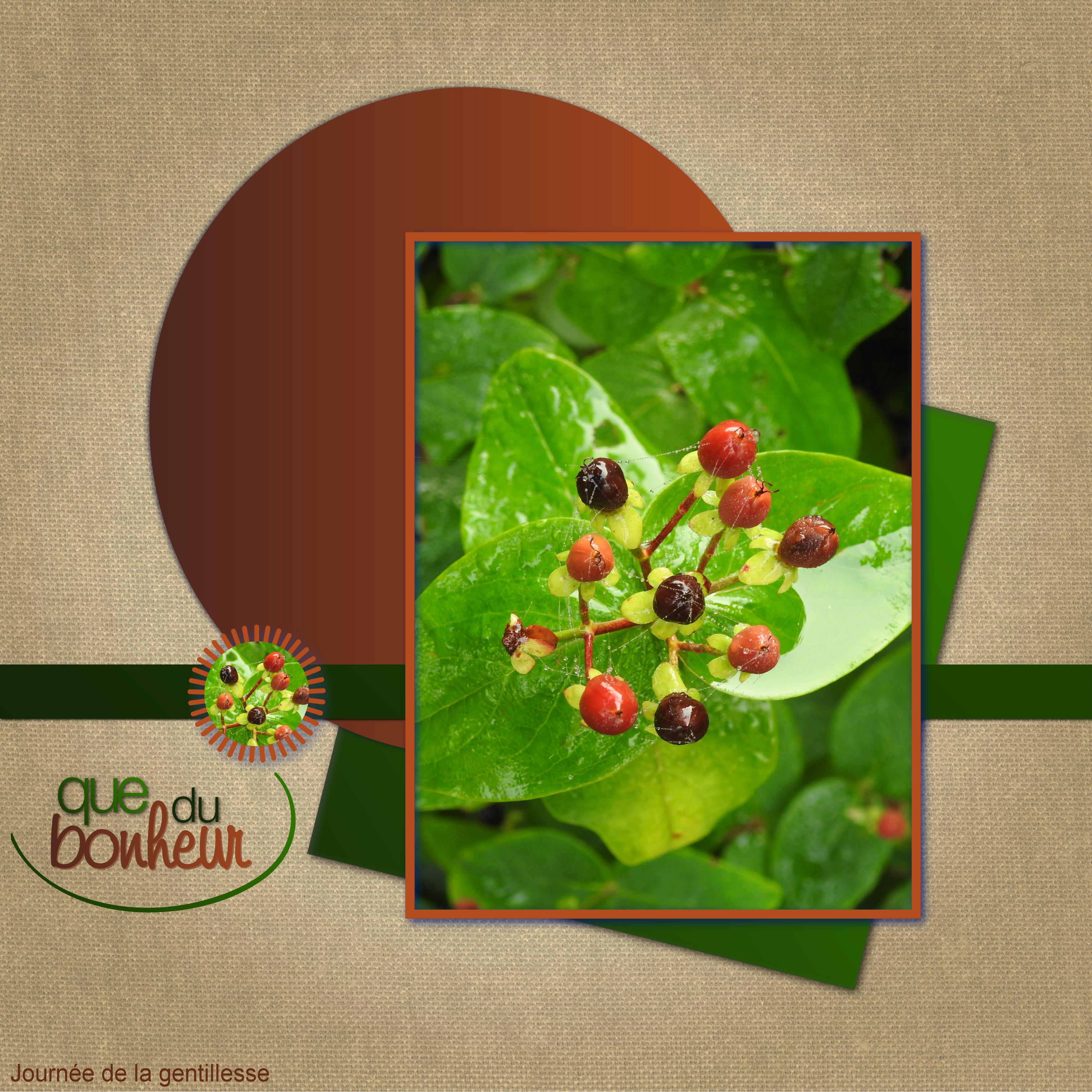 J-n48 - QUE DU BONHEUR.jpg