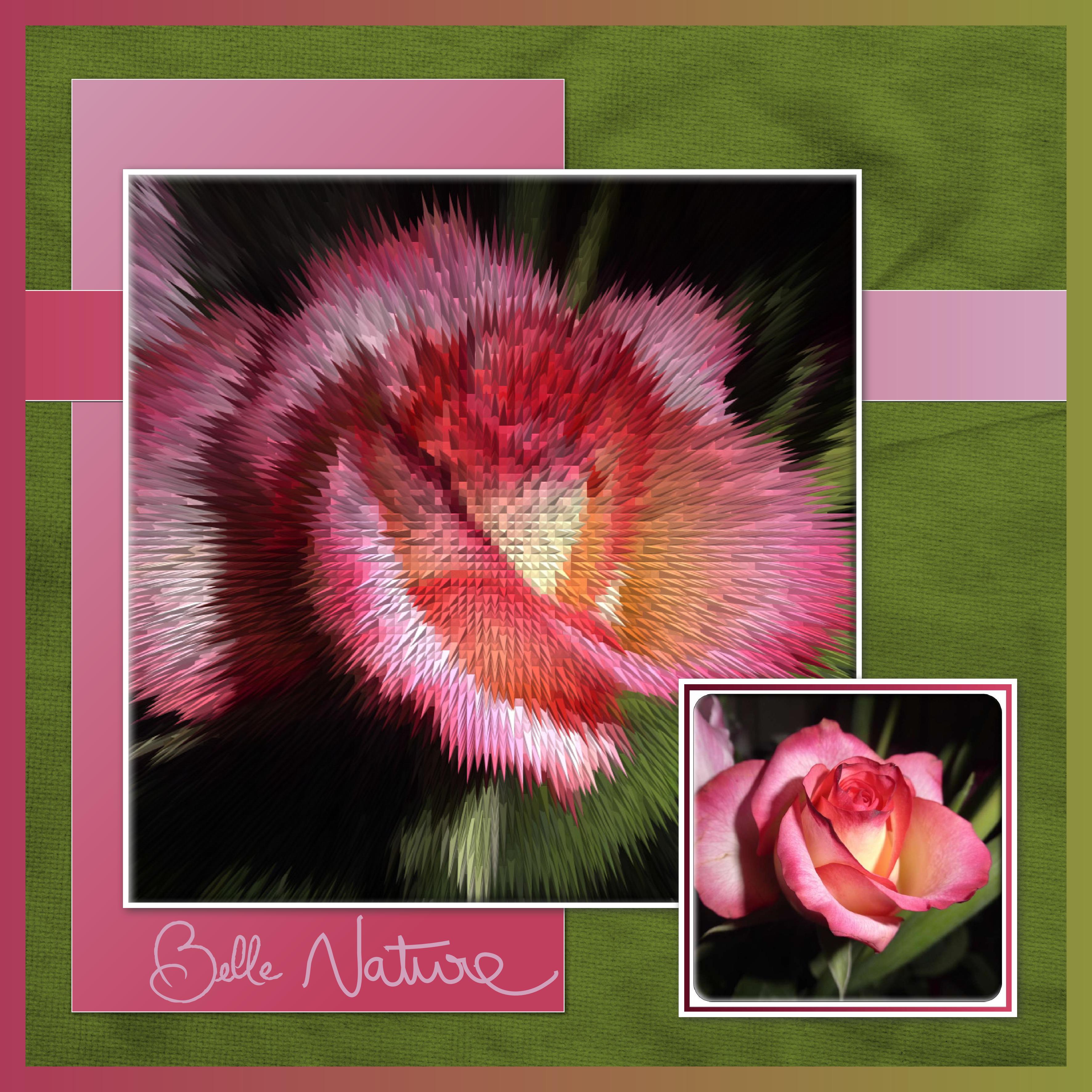 J-n51 - BELLE NATURE.jpg