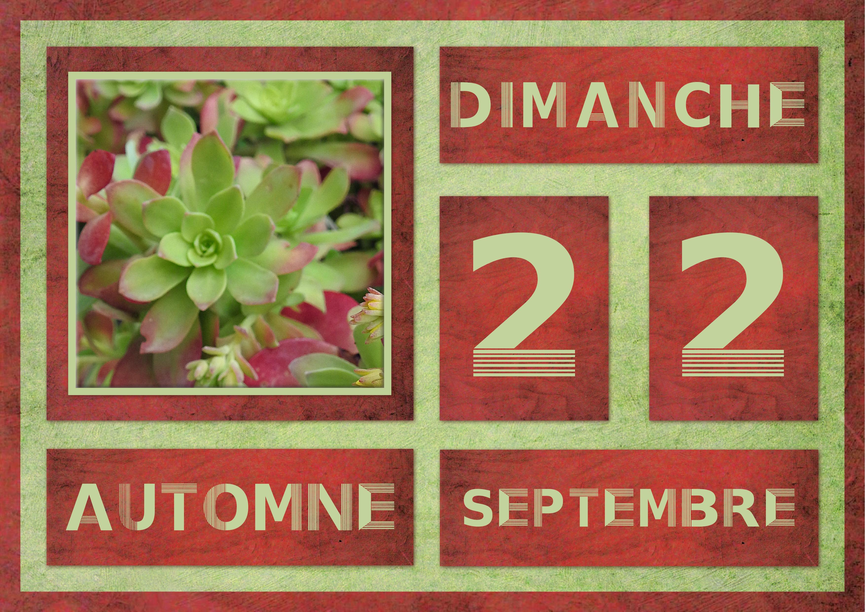 J-n53 - AUTOMNE.jpg