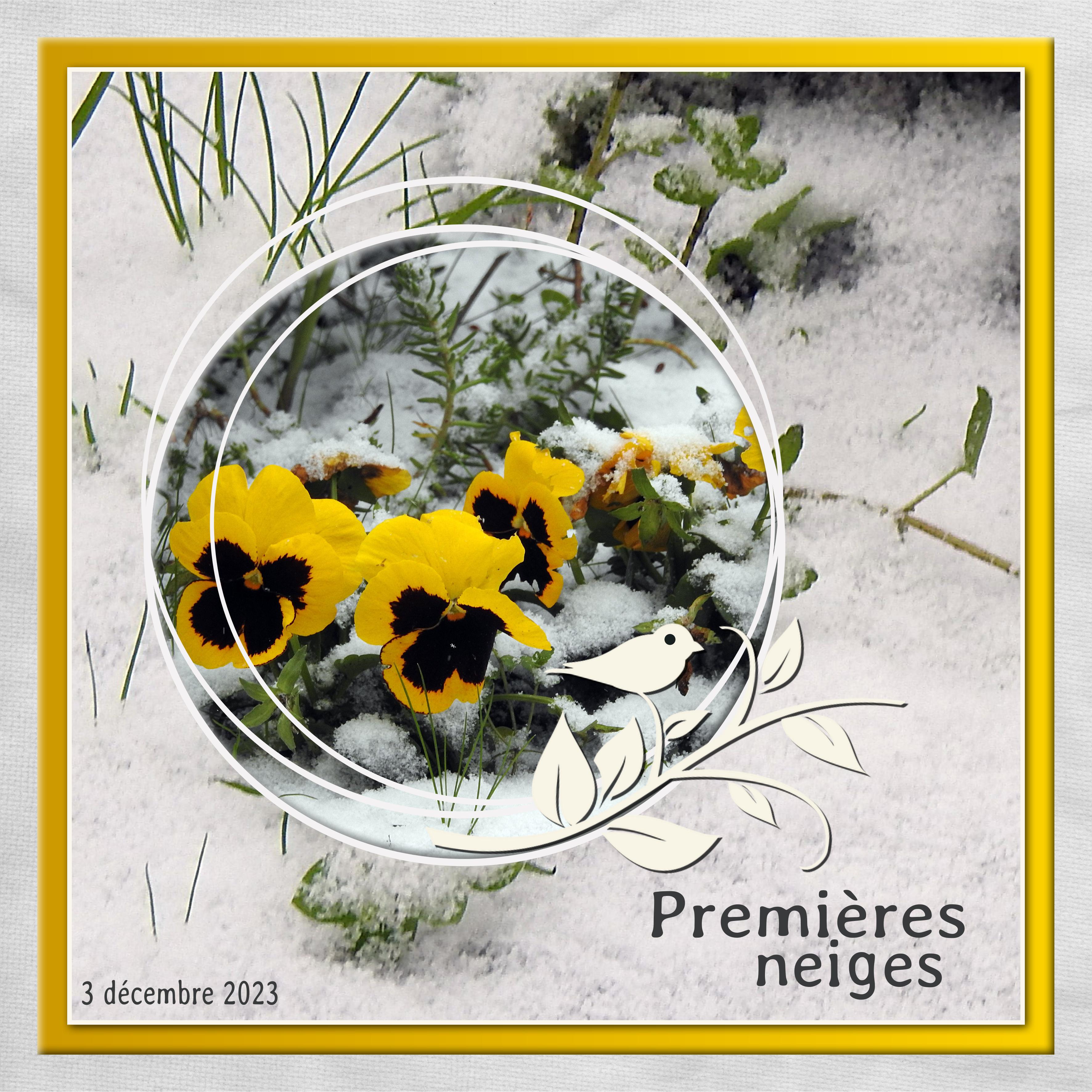 J-n53 - PREMIERES NEIGES.jpg