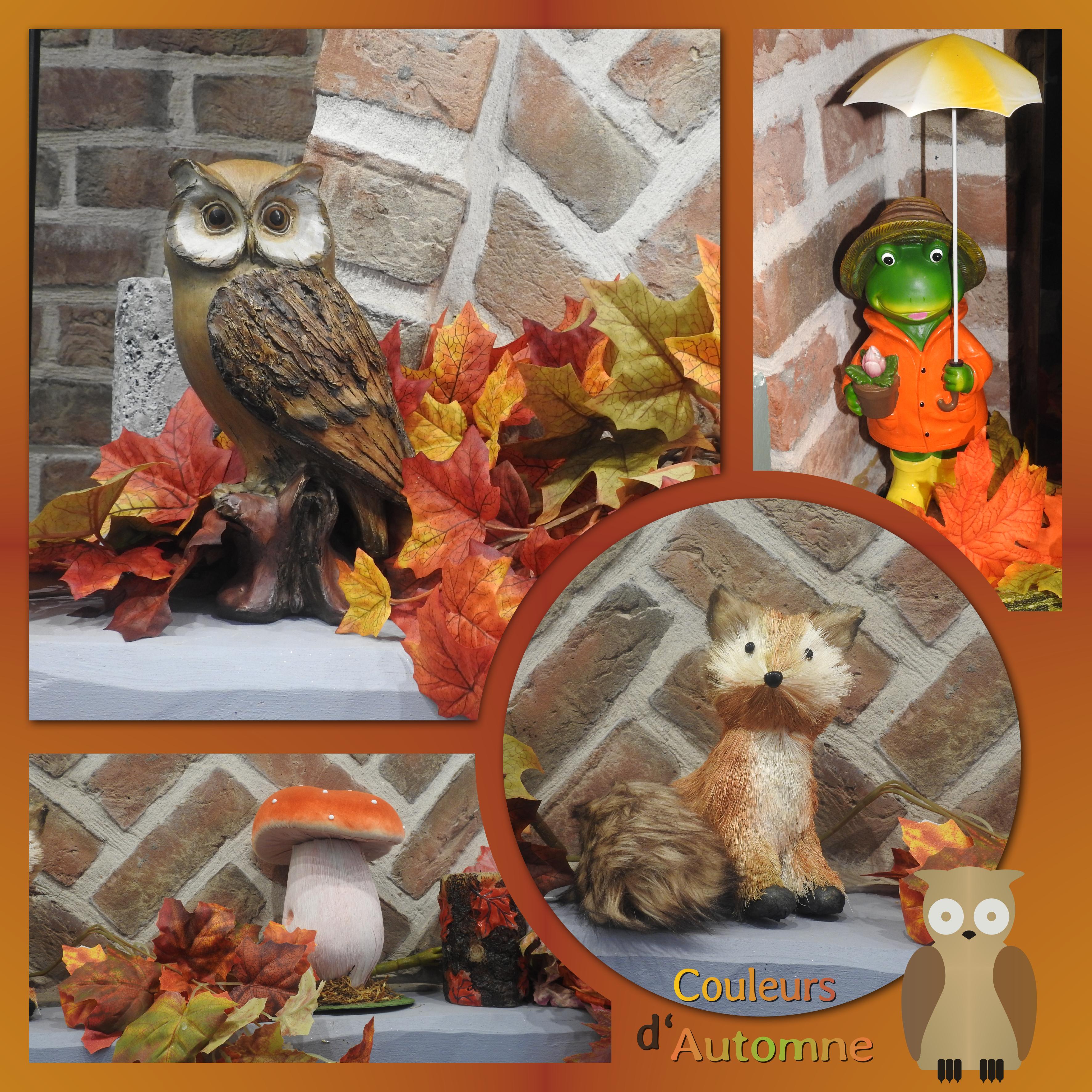 J-n54 - COULEURS D'AUTOMNE.jpg