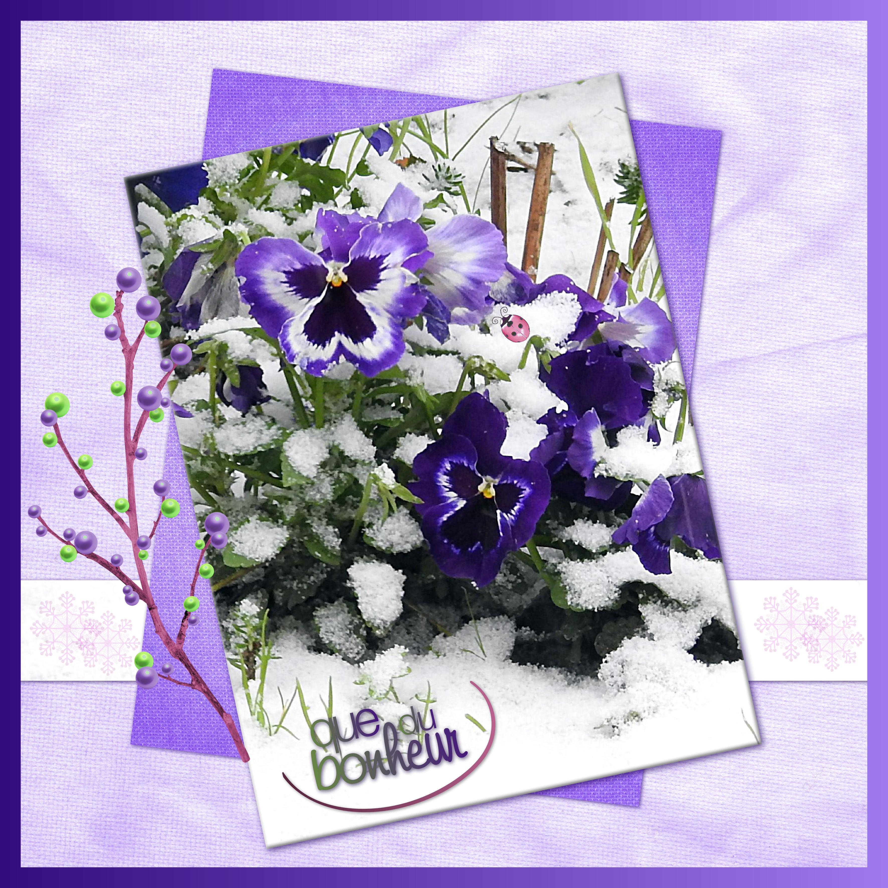 J-n56 - QUE DU BONHEUR.jpg