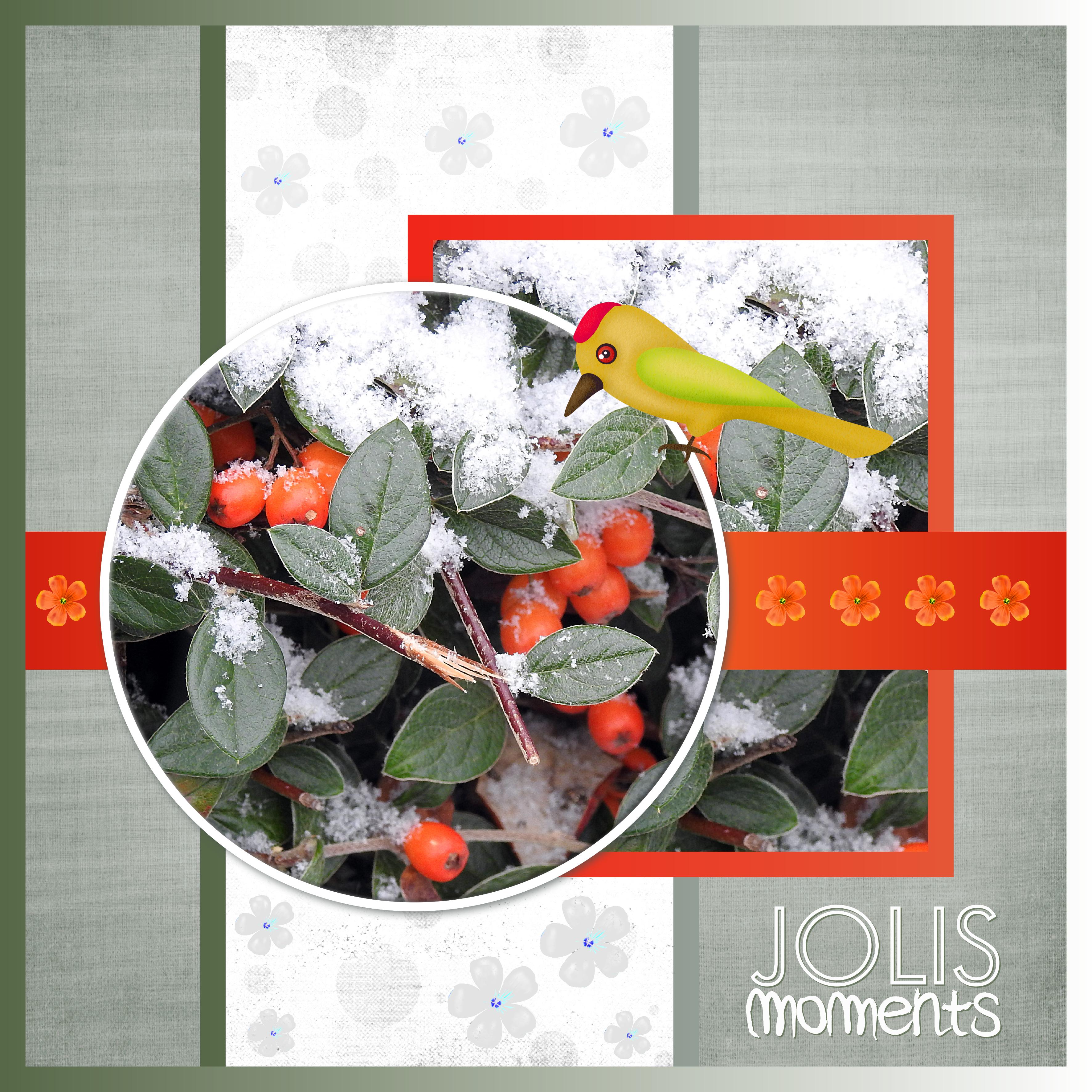 J-n57 - JOLIS MOMENTS.jpg