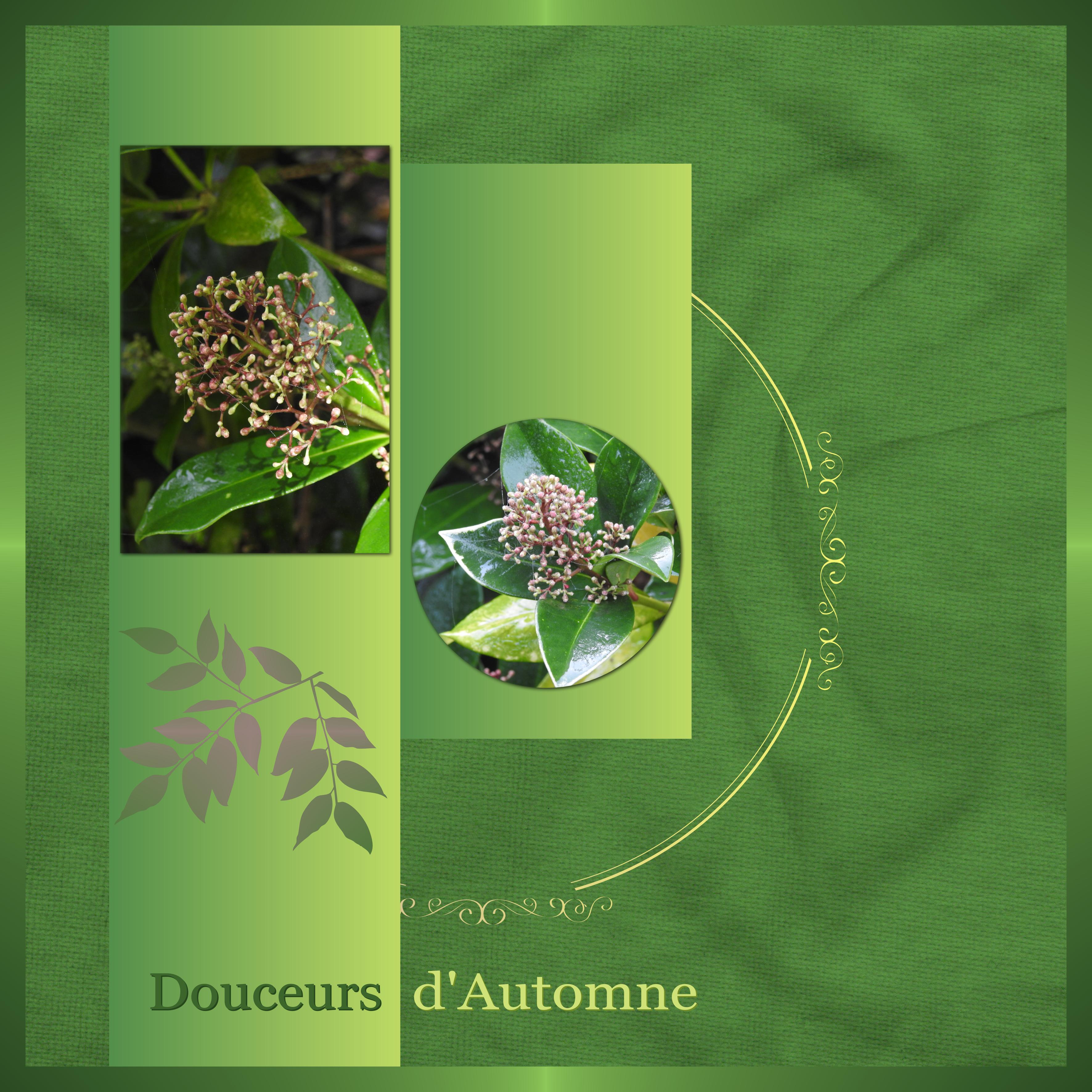 J-n59 - DOUCEURS D'AUTOMNE.jpg