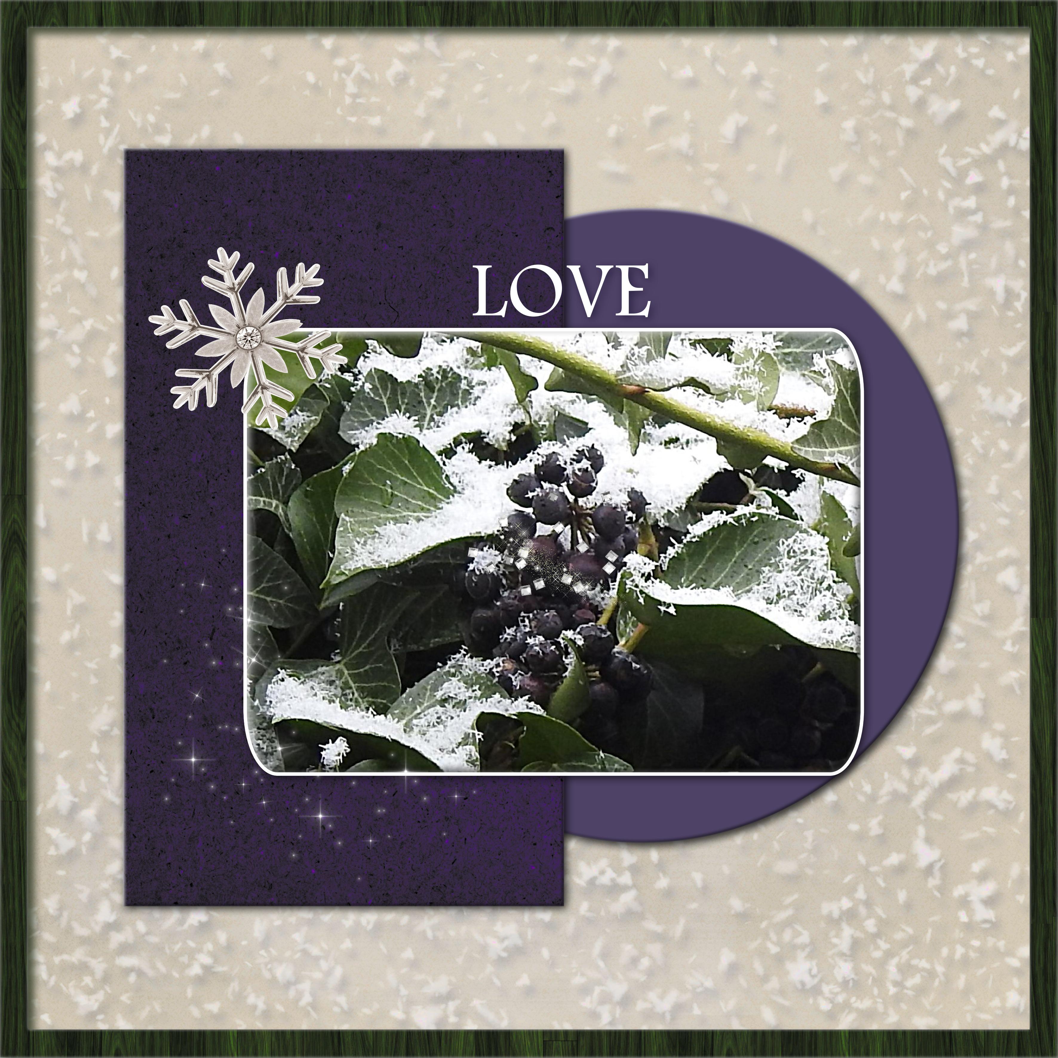 J-n6 - LOVE NATURE .jpg