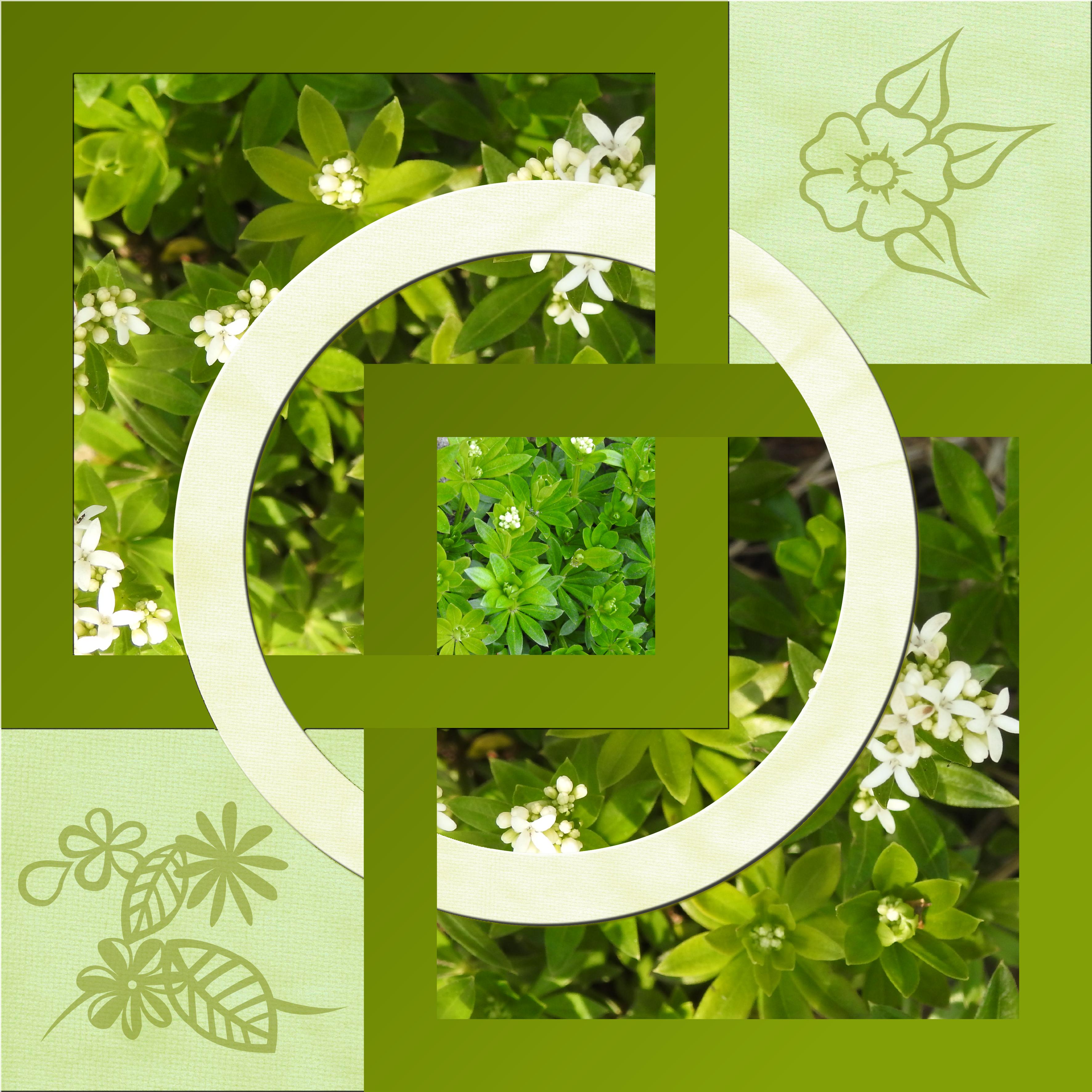 J-n63 - BELLE NATURE.jpg