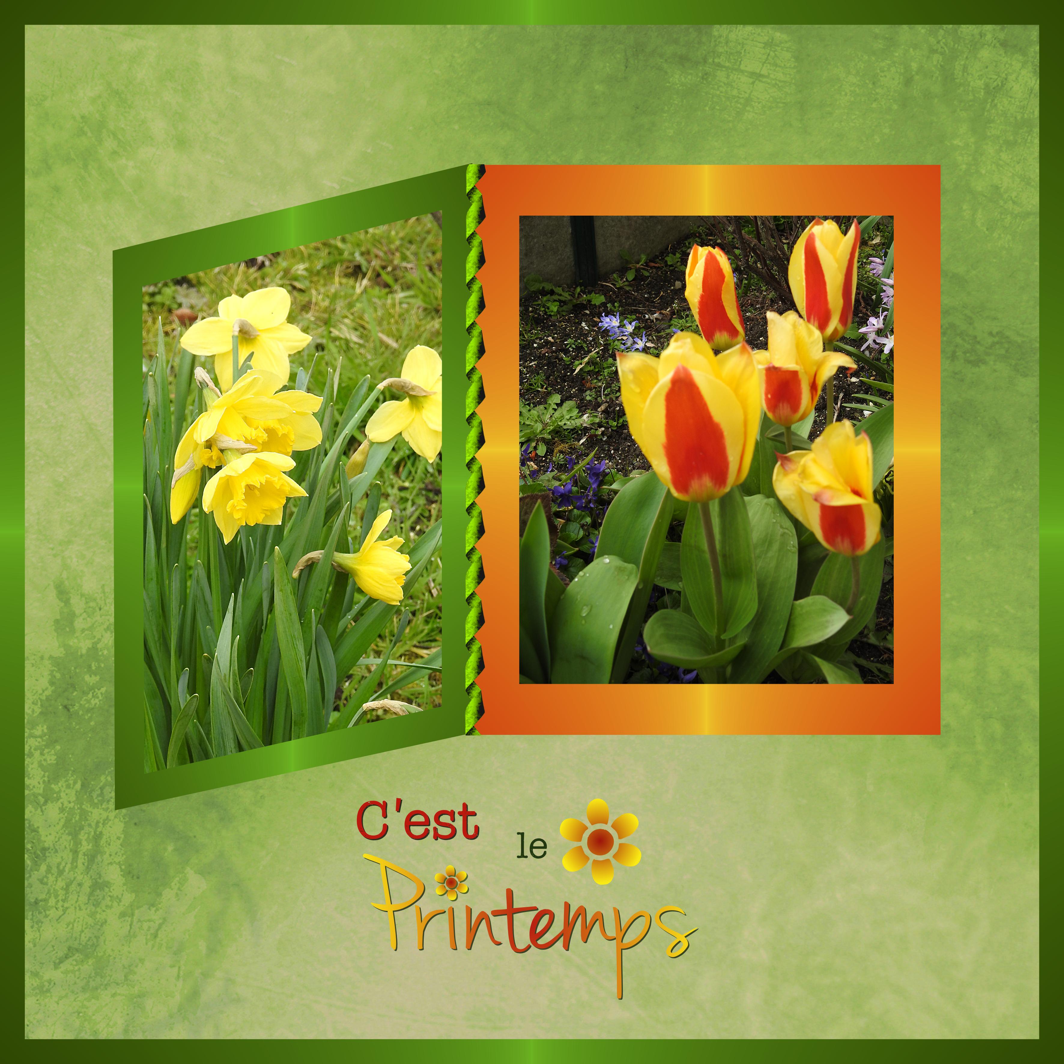 J-n64 - C'EST LE PRINTEMPS.jpg