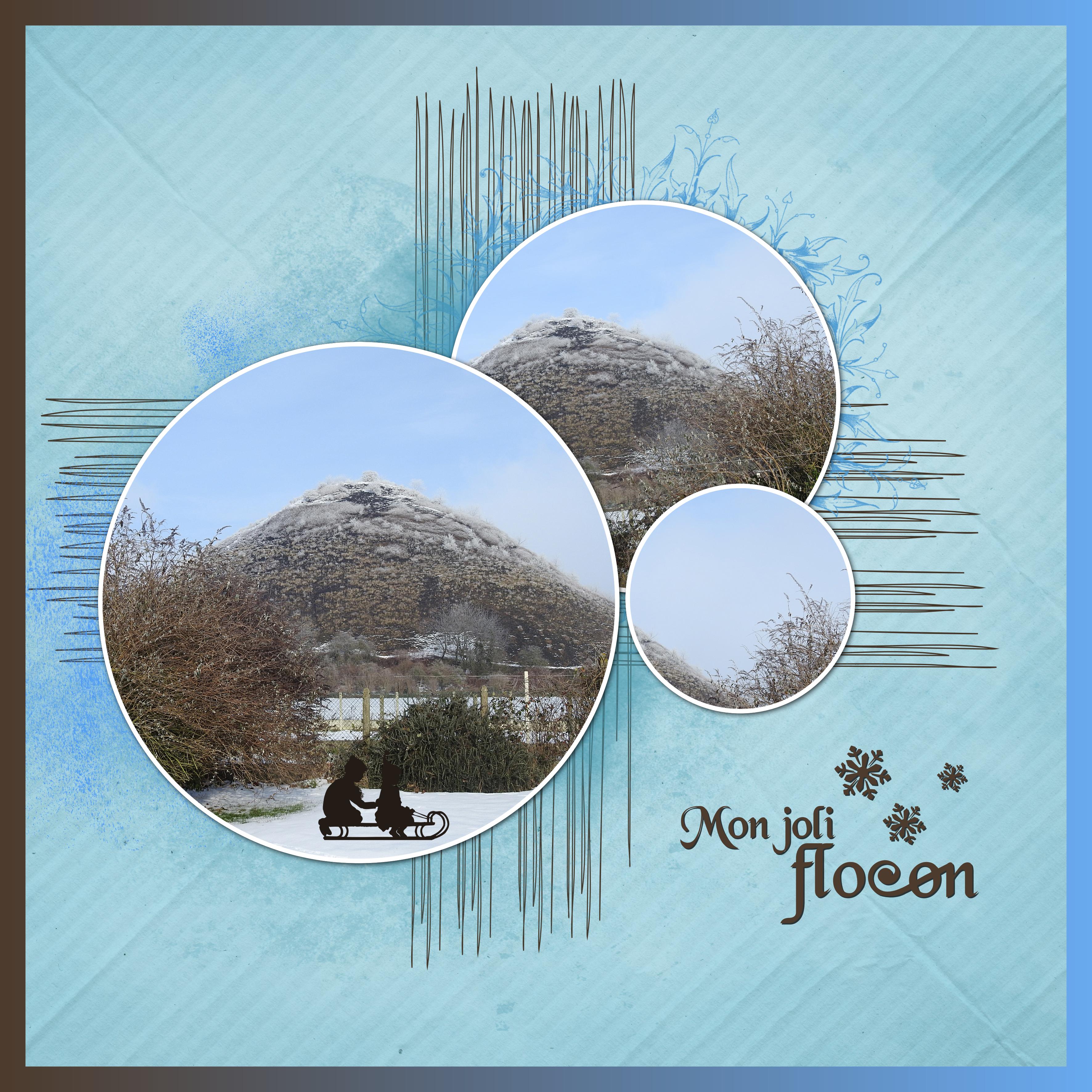 J-n64 - MON JOLI FLOCON.jpg