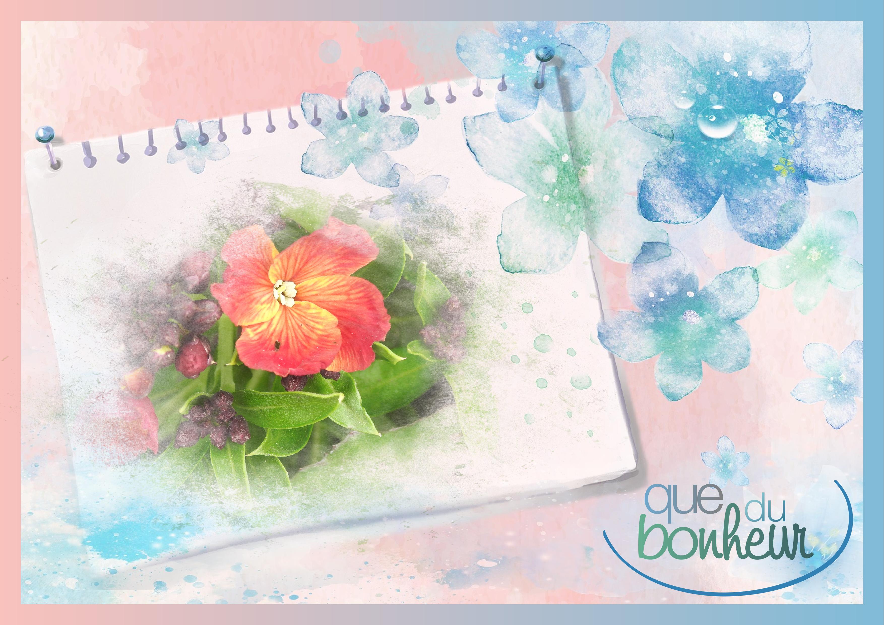 J-n64 - QUE DU BONHEUR.jpg