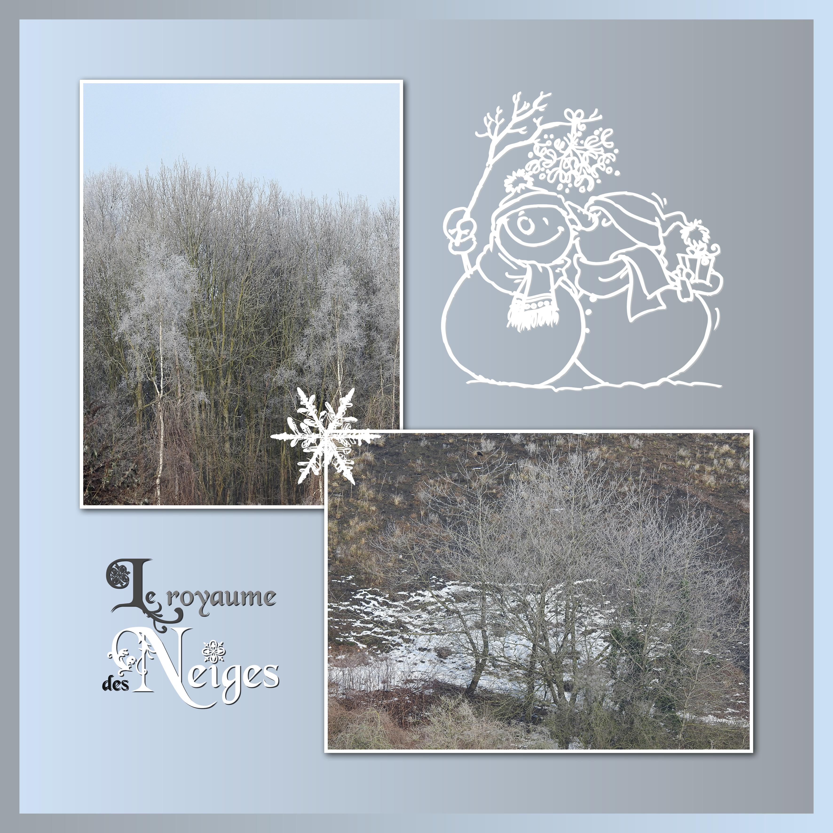 J-n65 - LE ROYAUME DES NEIGES.jpg