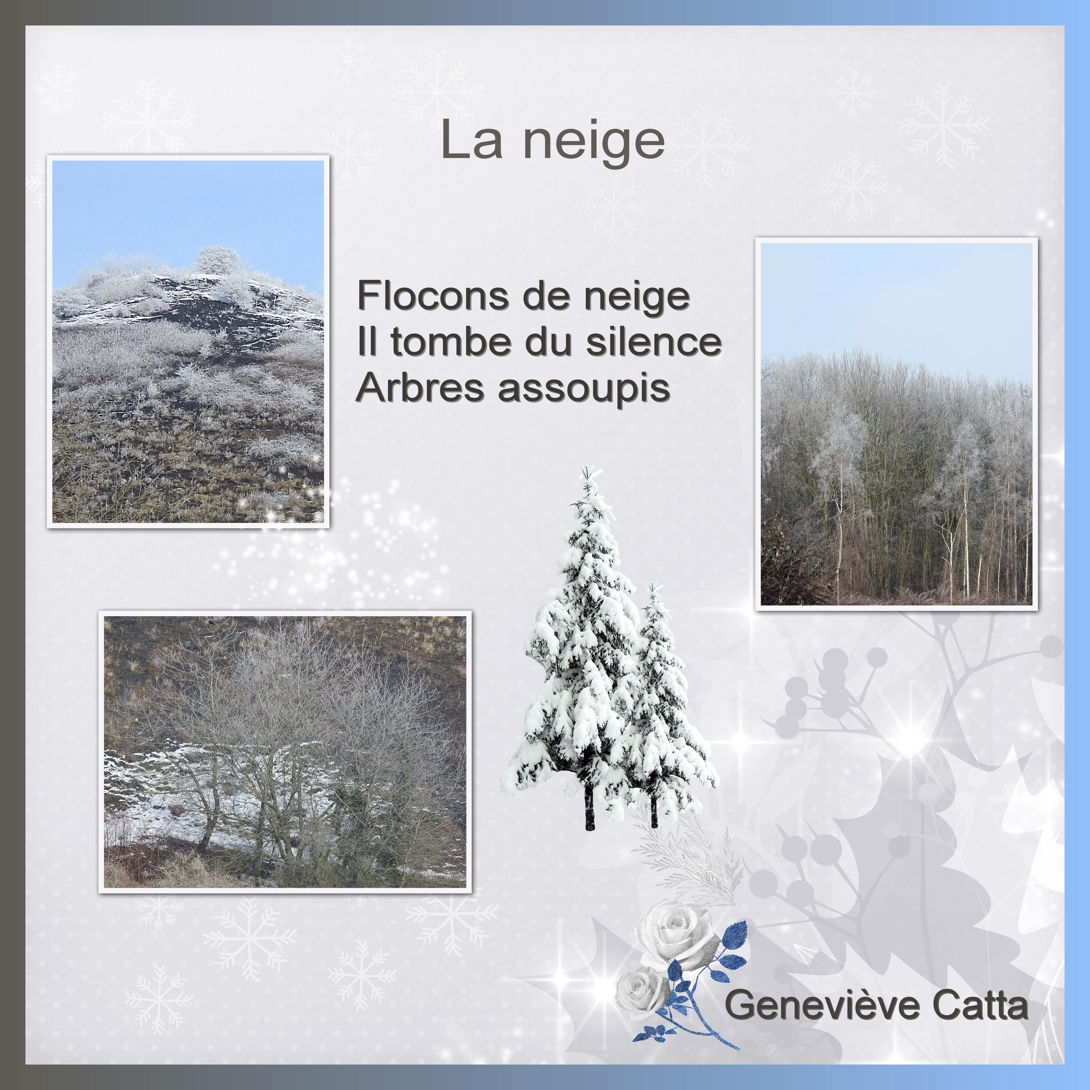 J-n66 - LA NEIGE.jpg