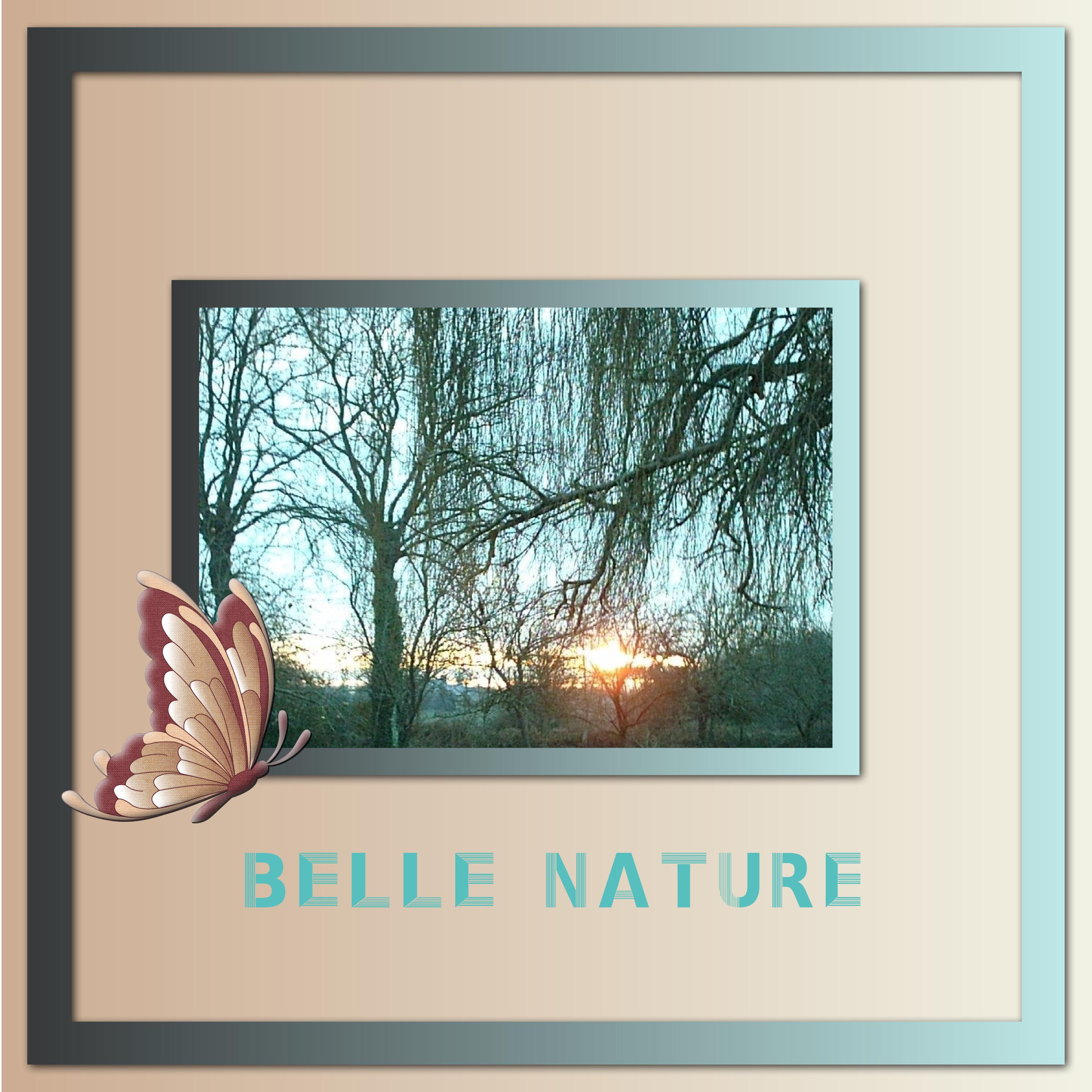 J-n67 - BELLE NATURE.jpg