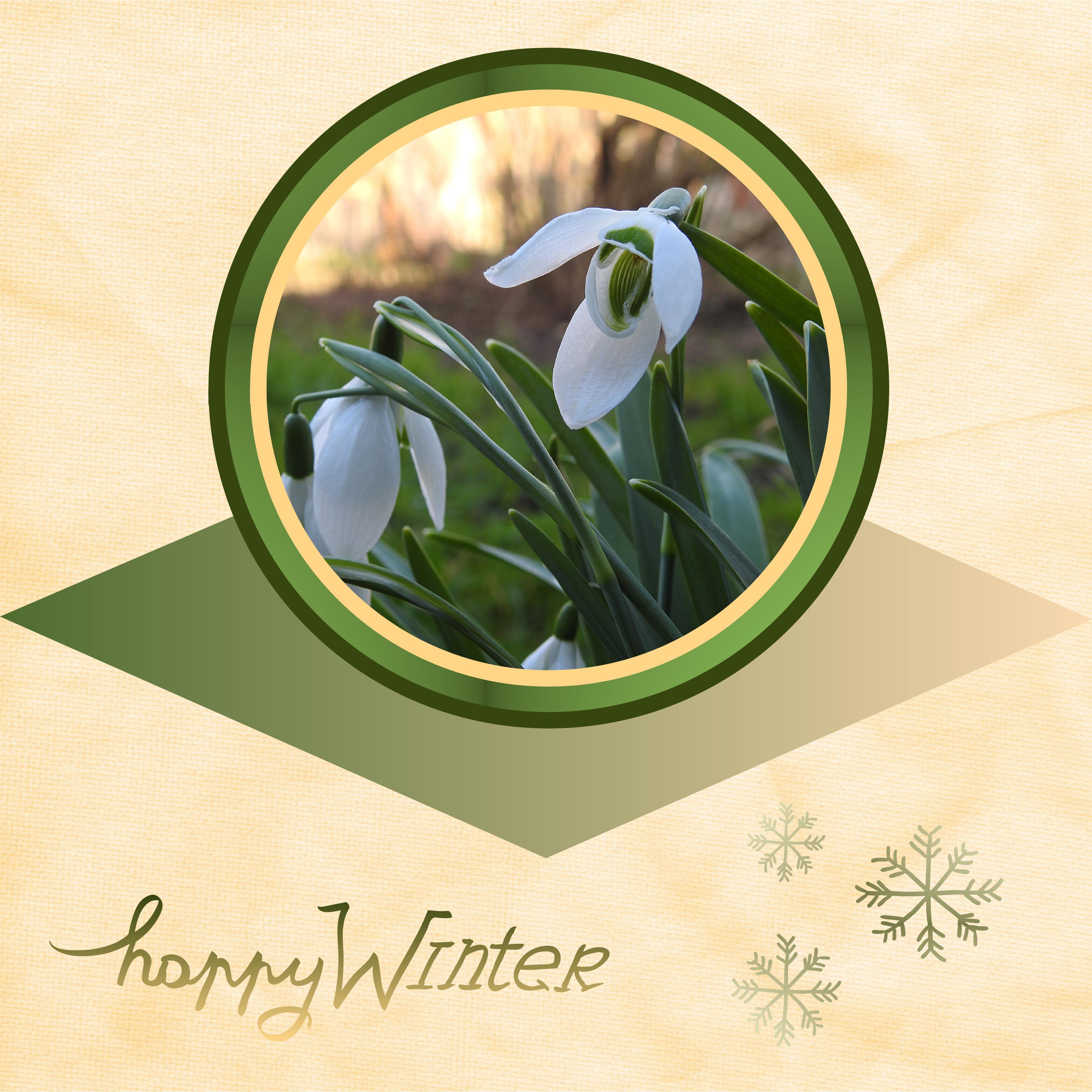 J-n67 - HAPPY WINTER.jpg