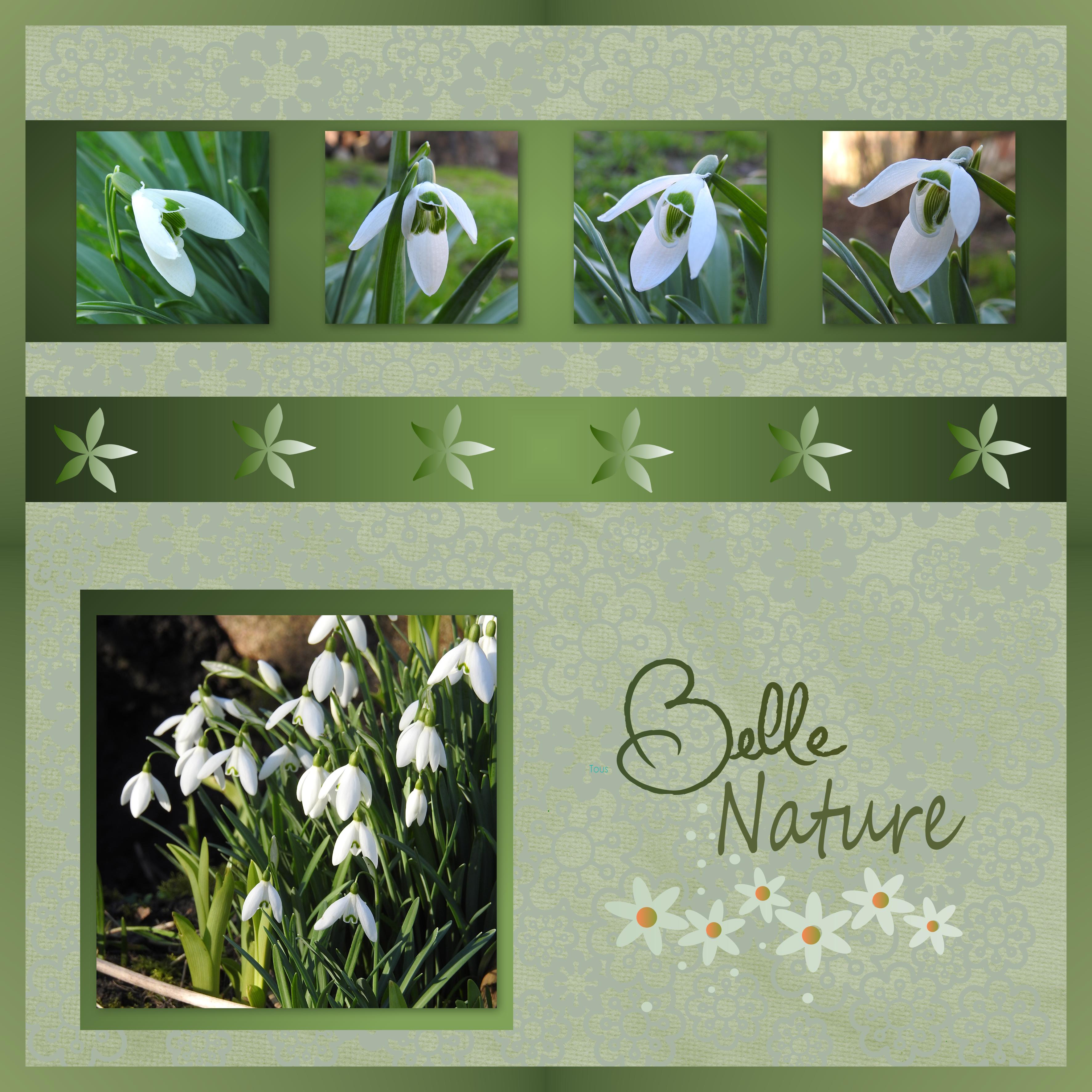 J-n68 - BELLE NATURE.jpg