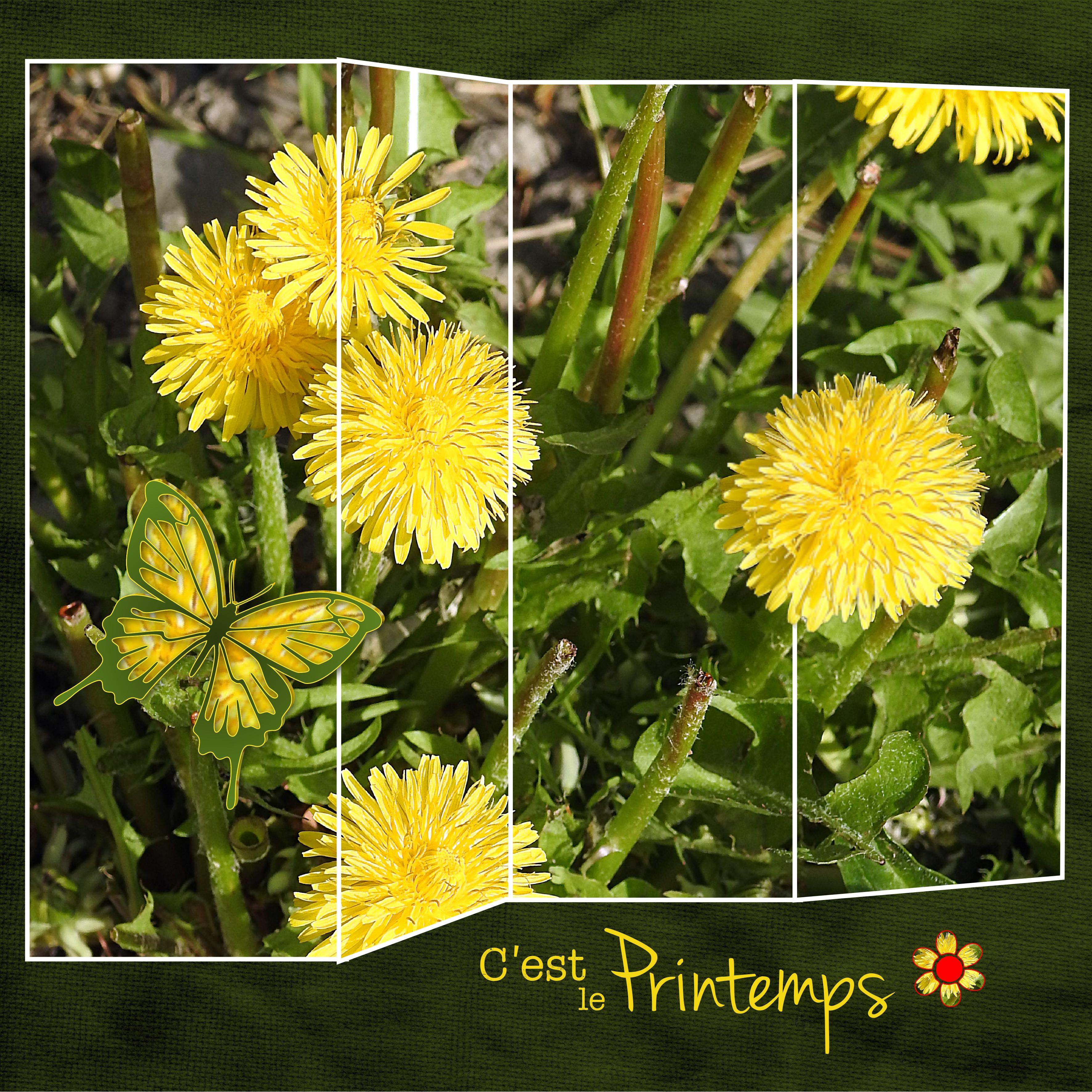 J-n68 - C'EST LE PRINTEMPS.jpg