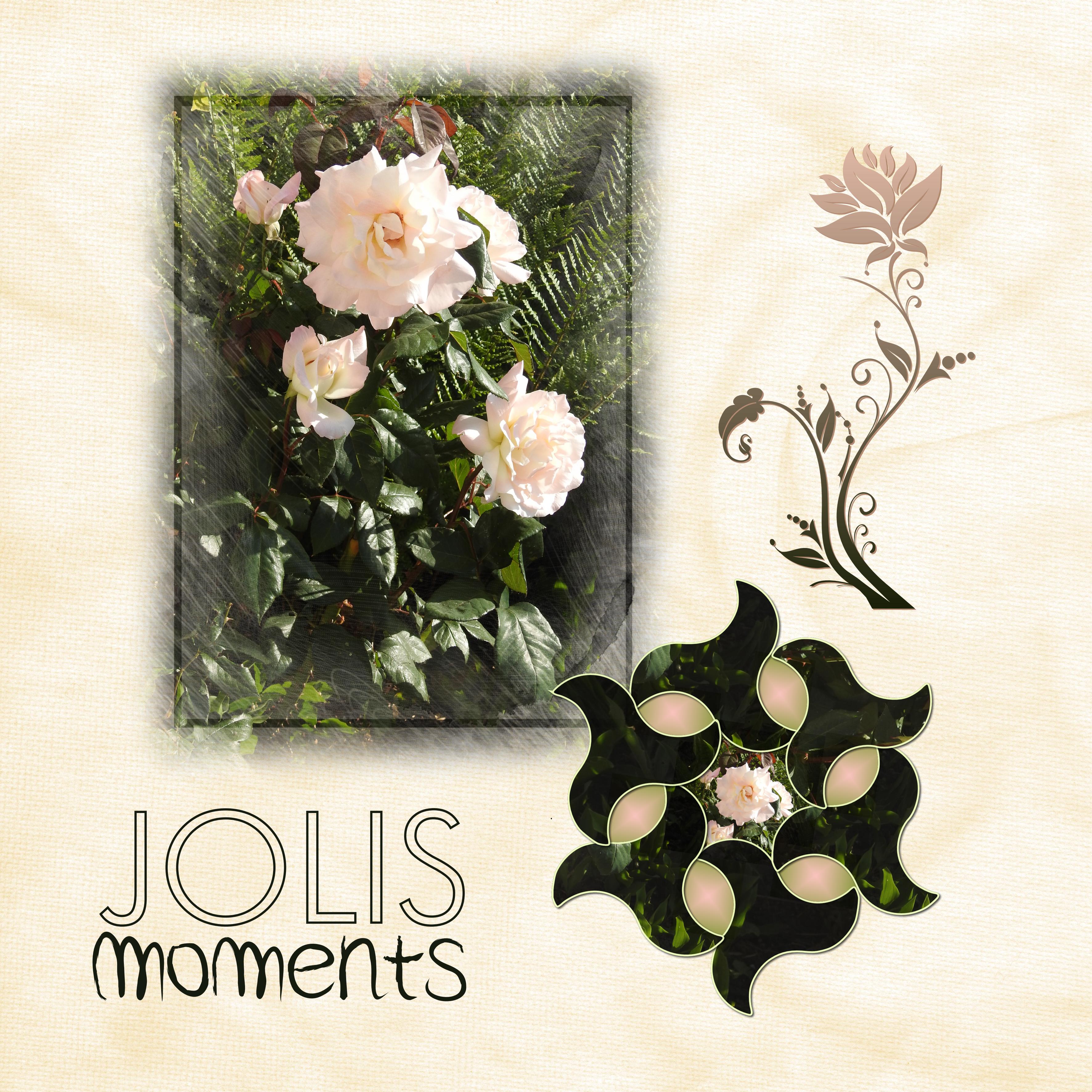 J-n7 - JOLIS MOMENTS.jpg