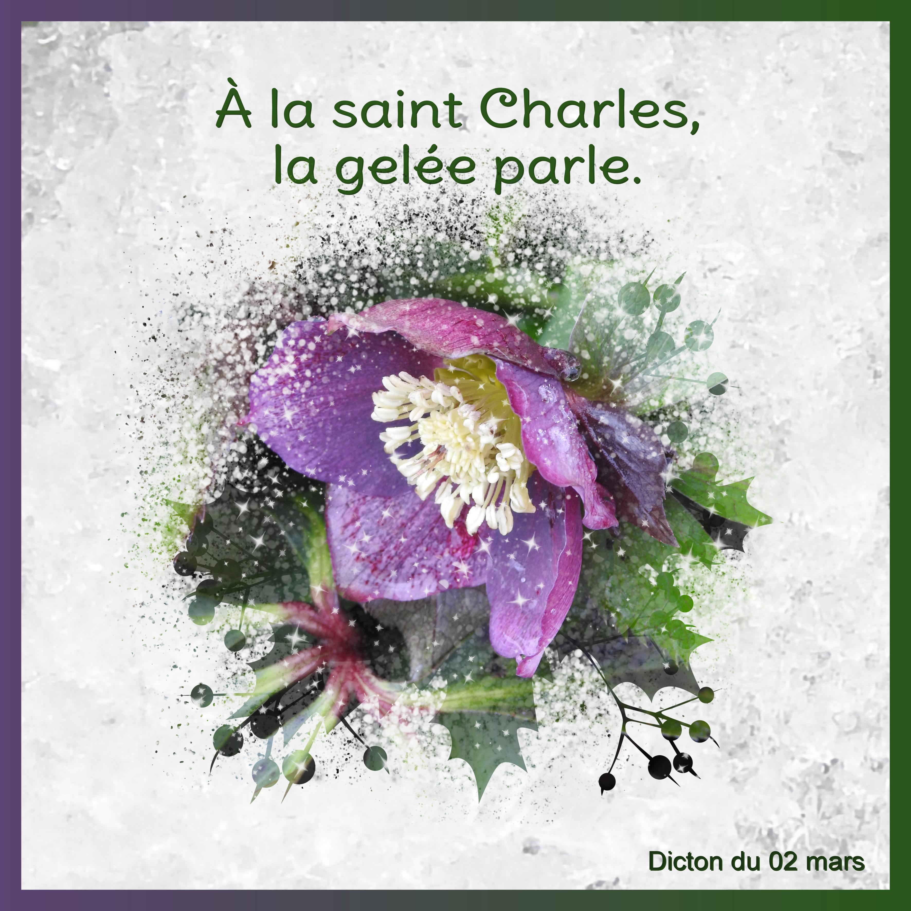 J-n70 - A LA SAINT CHARLES.jpg