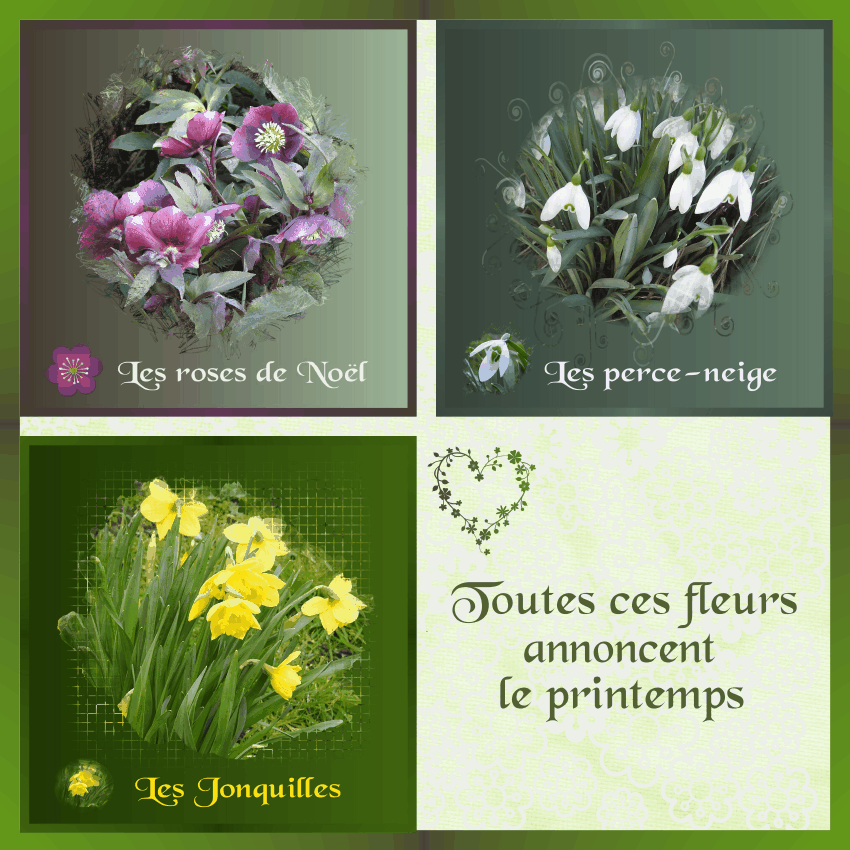 J-n72 - ANNONCE DU PRINTEMPS.gif