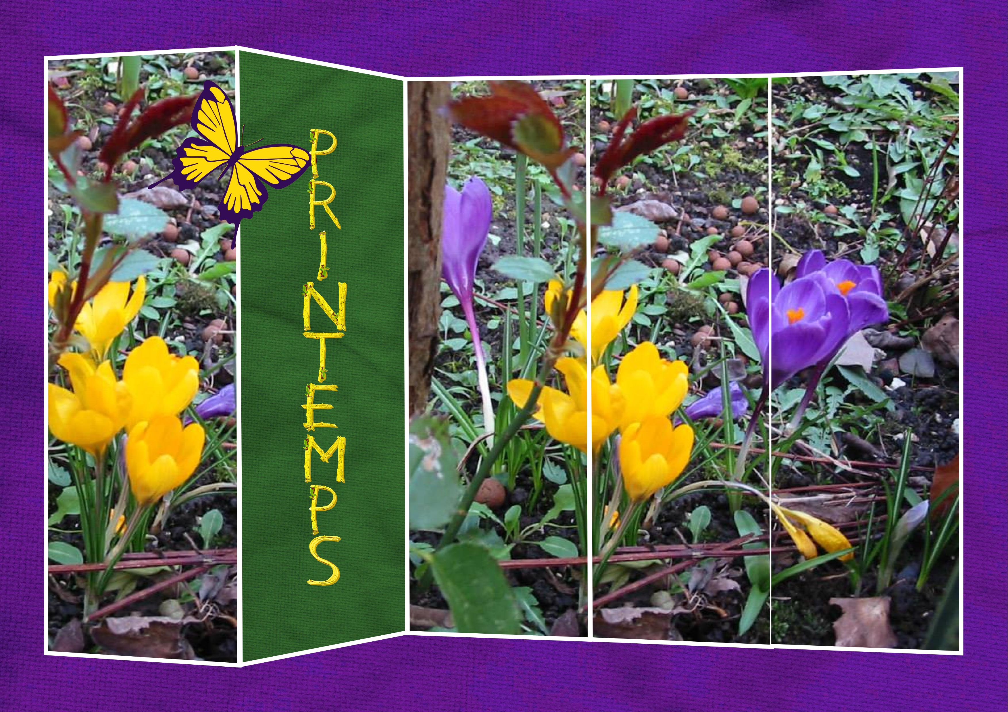 J-n73 - PRINTEMPS.jpg