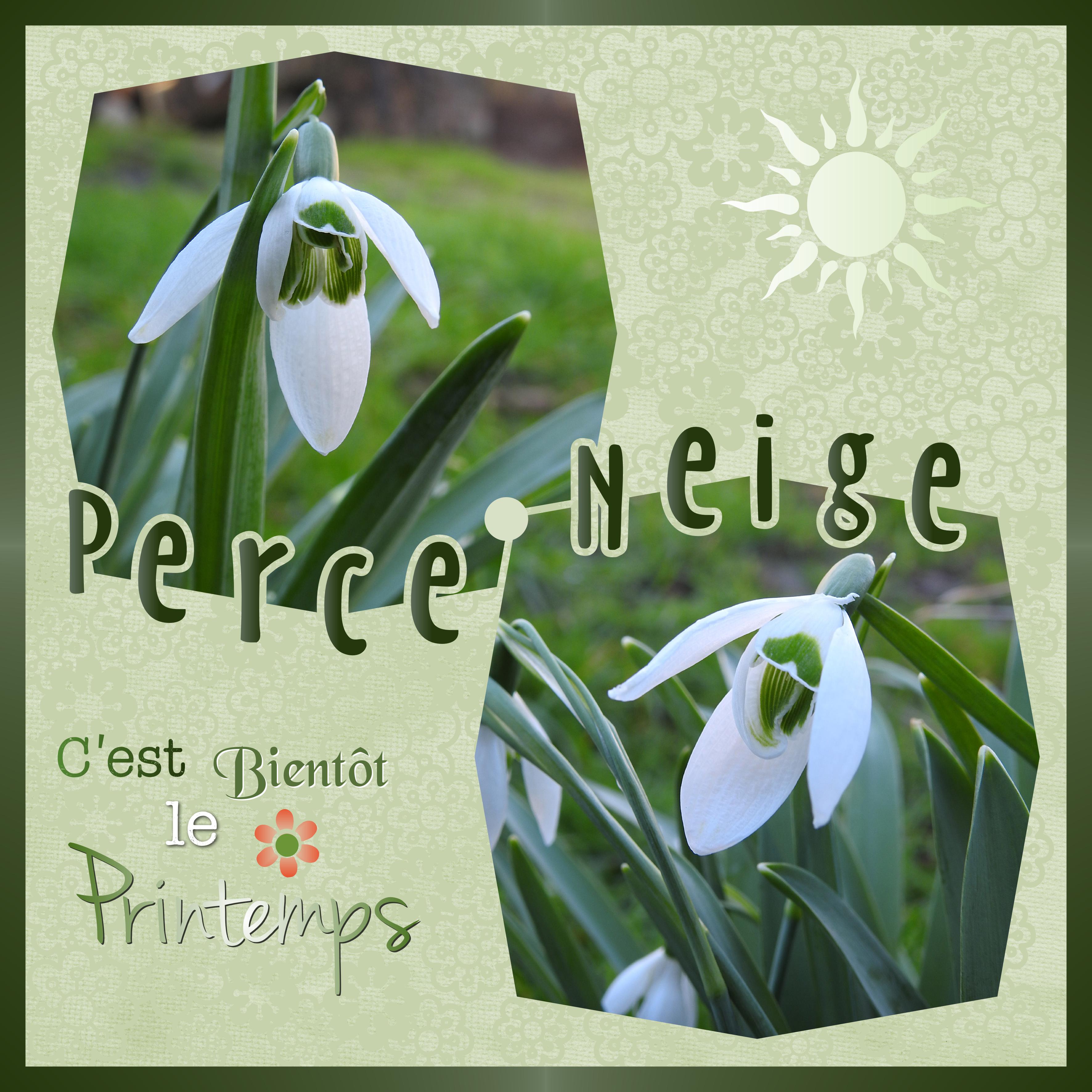 J-n75 - C'EST BIENTOT LE PRINTEMPS.jpg