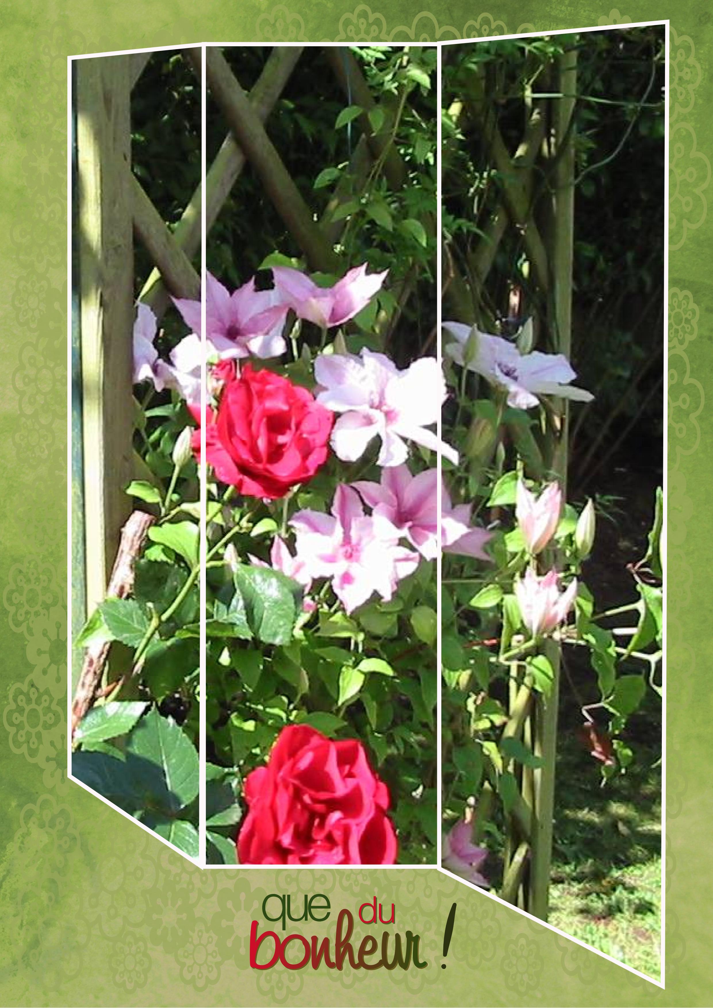 J-n75 - QUE DU BONHEUR.jpg