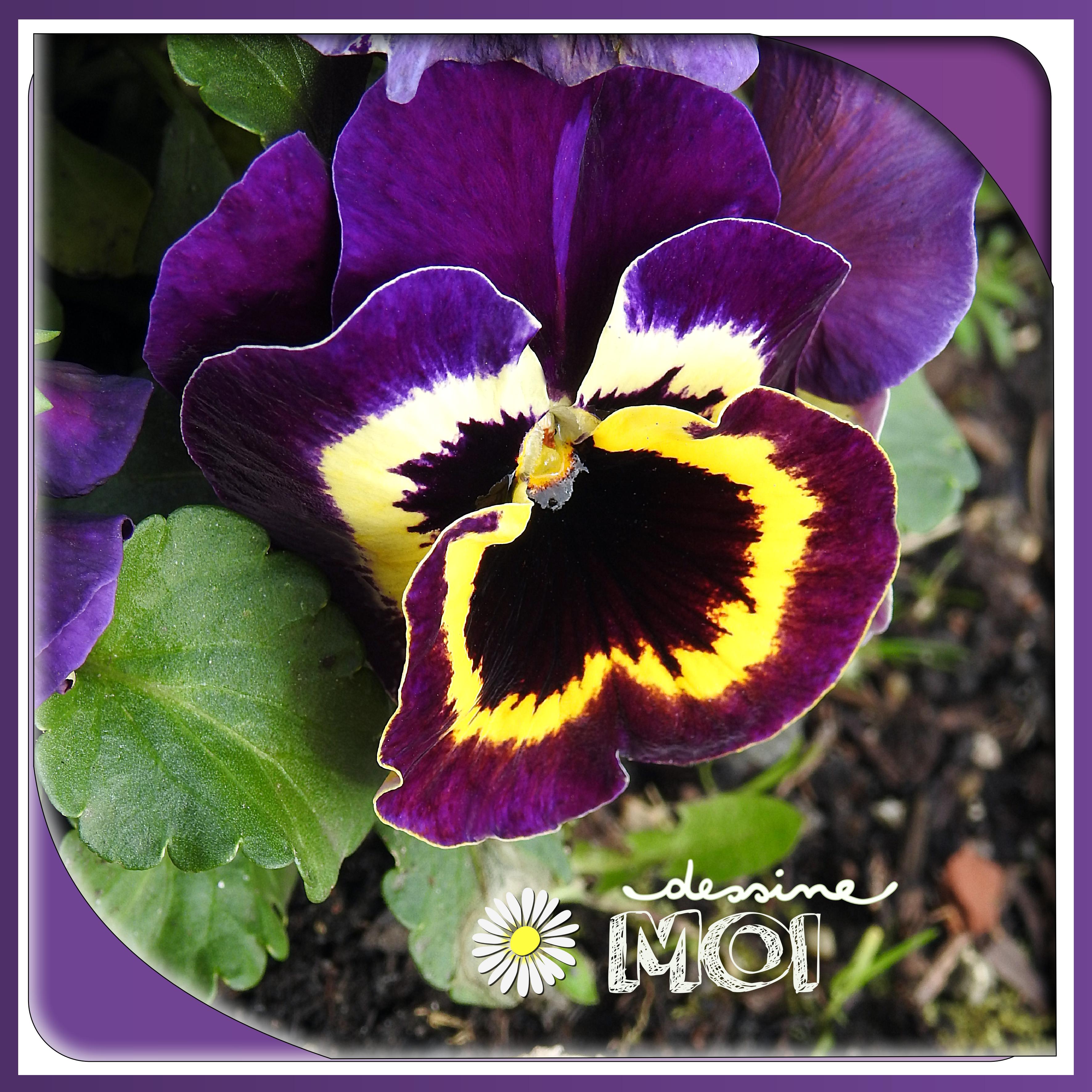 J-n76 - DESSINE MOI.jpg