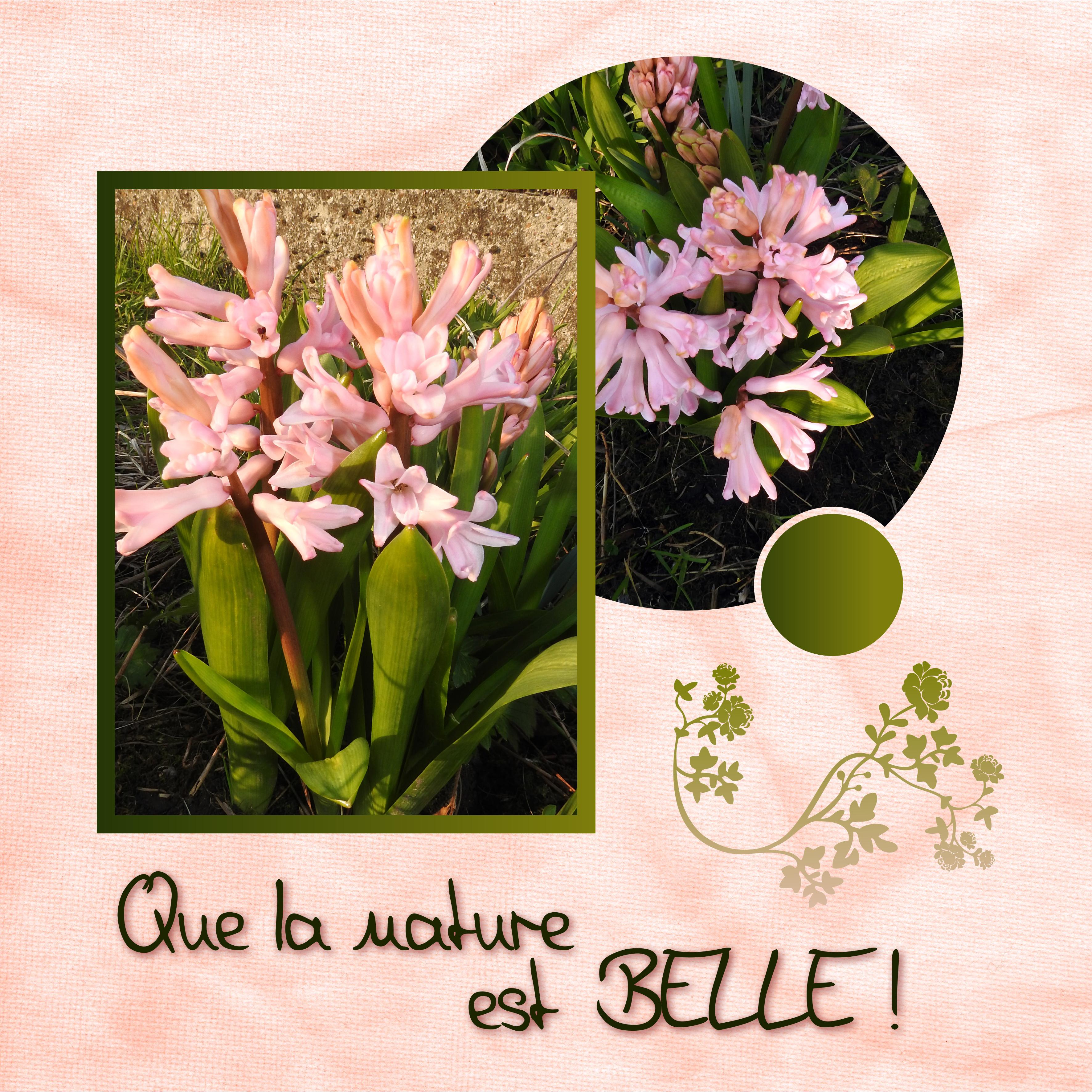 J-n76 - QUE LA NATURE EST BELLE.jpg