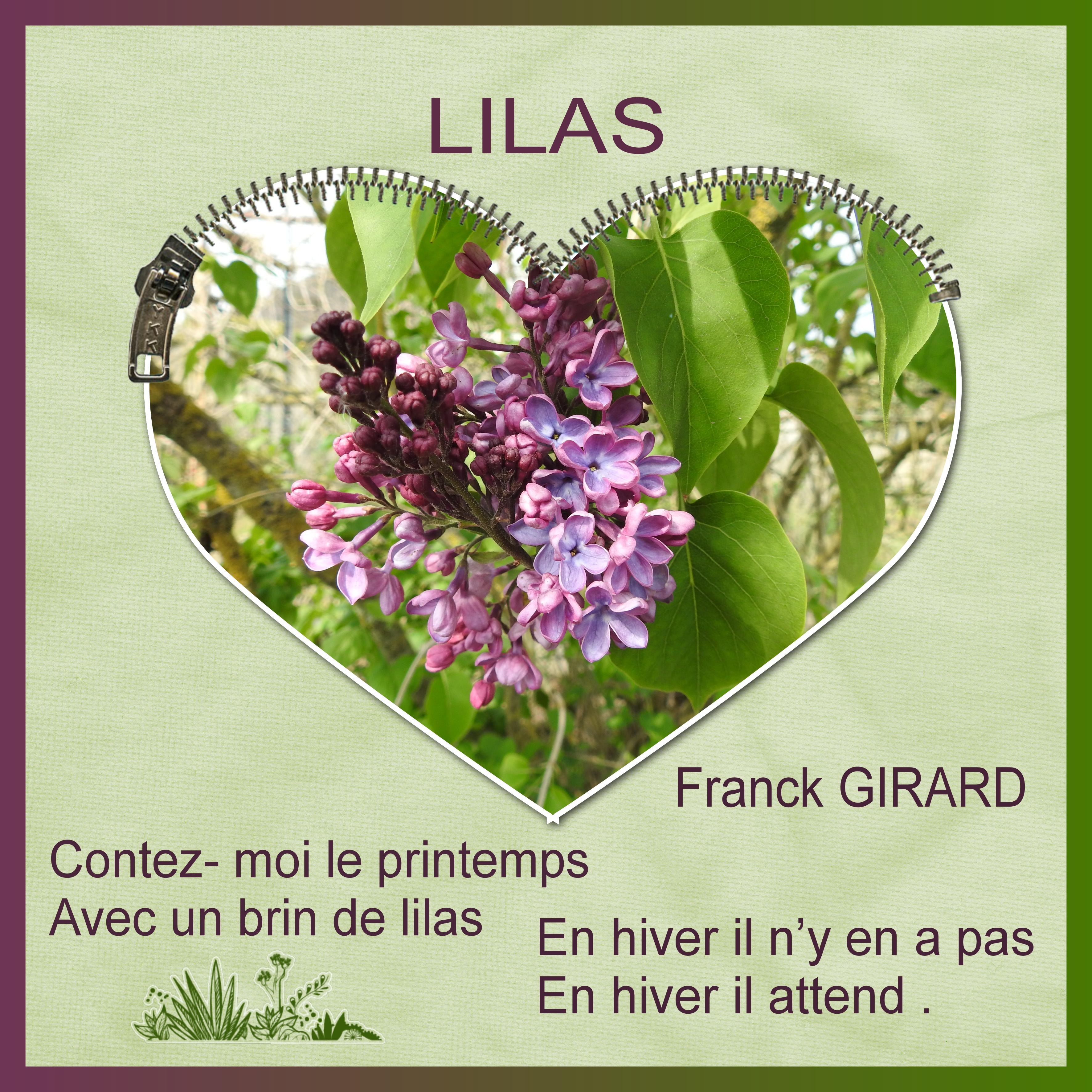 J-n77 - LILAS.jpg