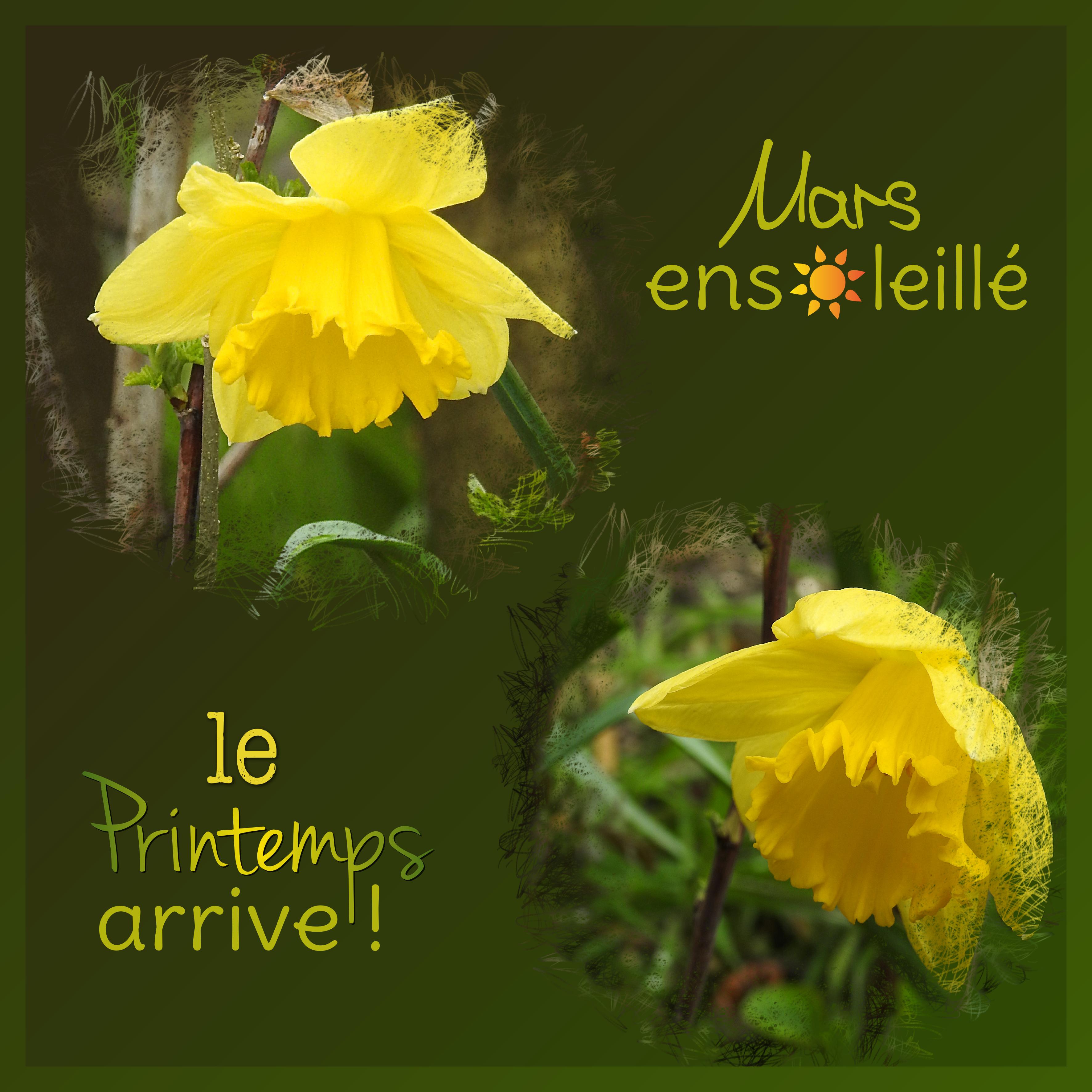 J-n77 - MARS ENSOLEILLE.jpg