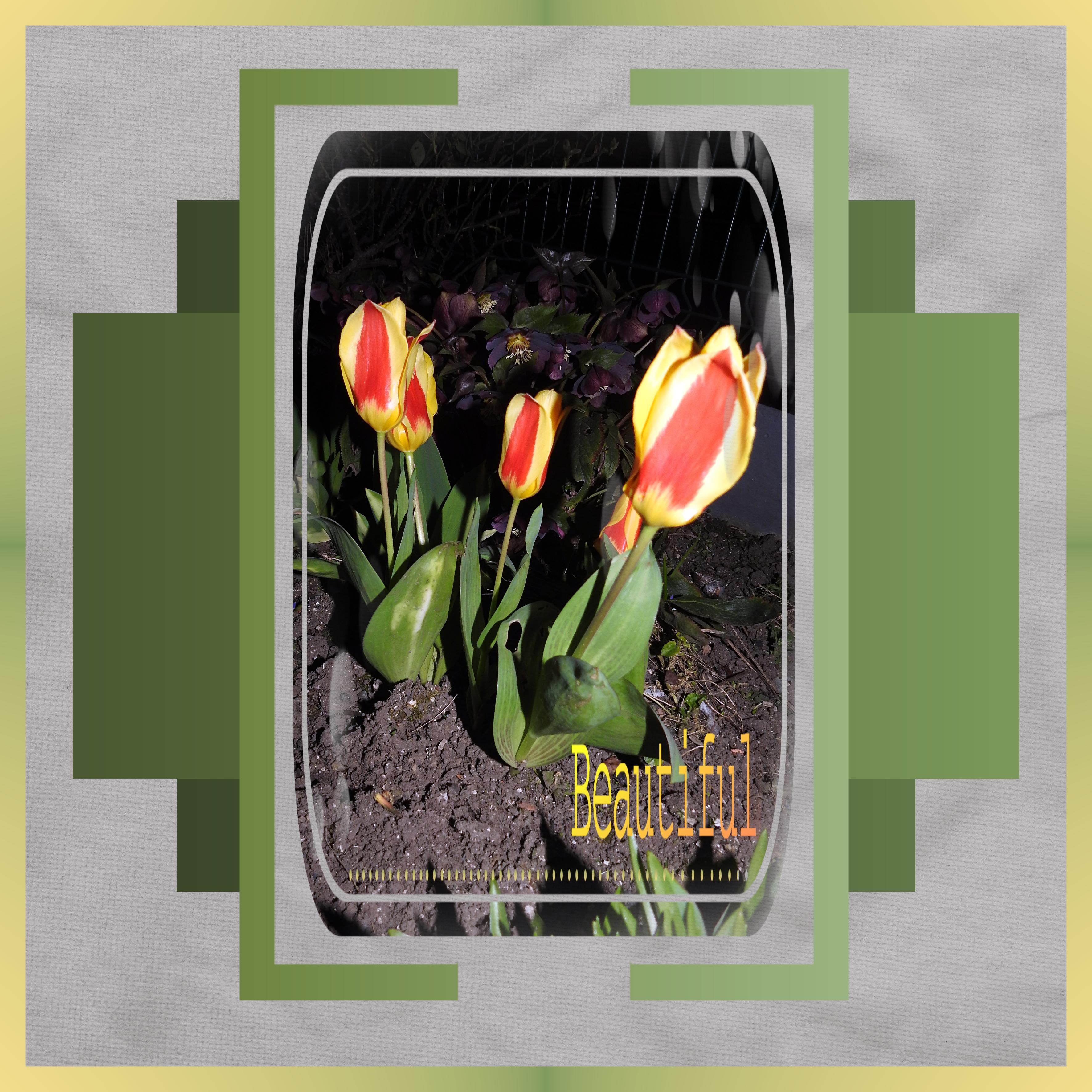 J-n78 - BEAUTIFUL.jpg