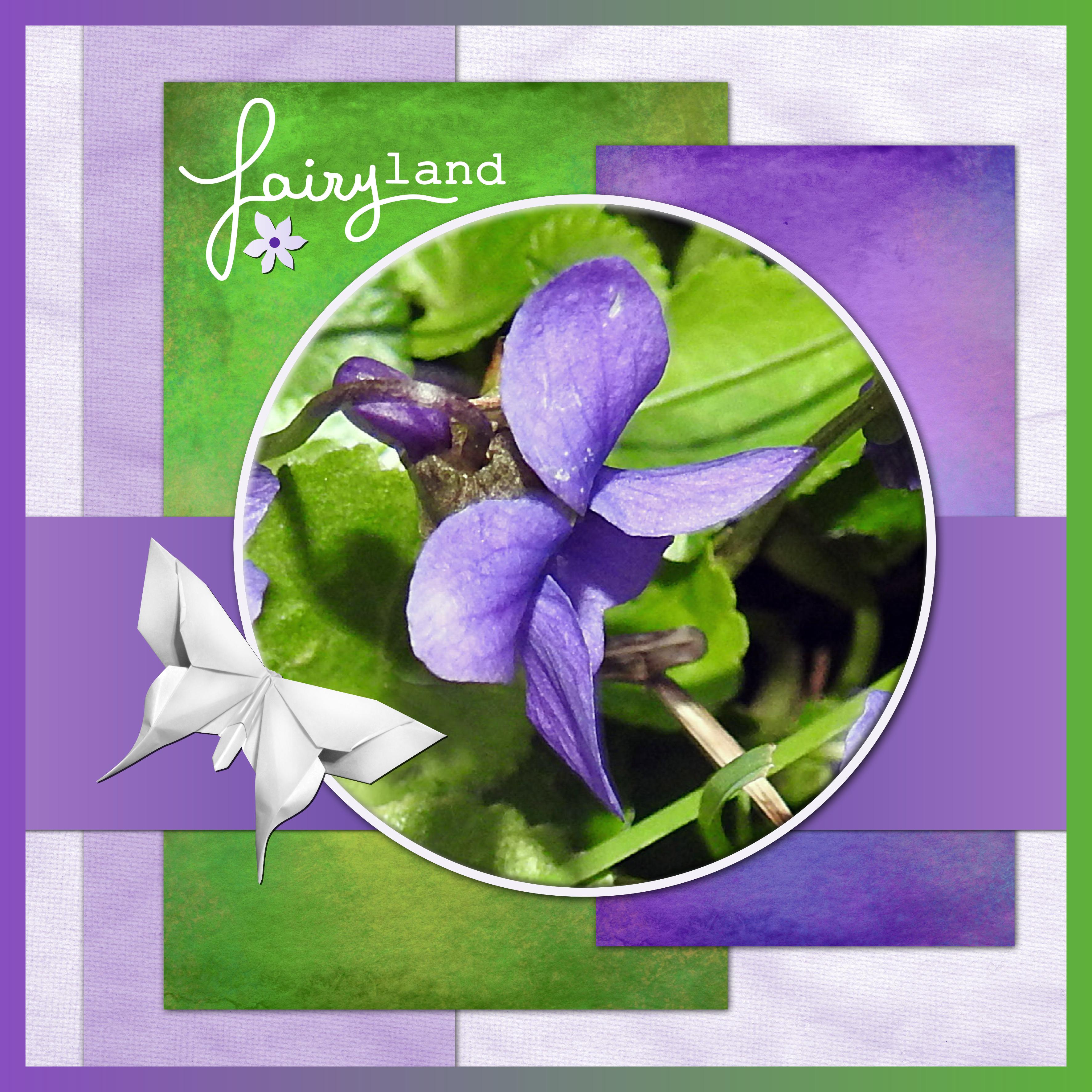 J n78 - FAIRY LAND.jpg