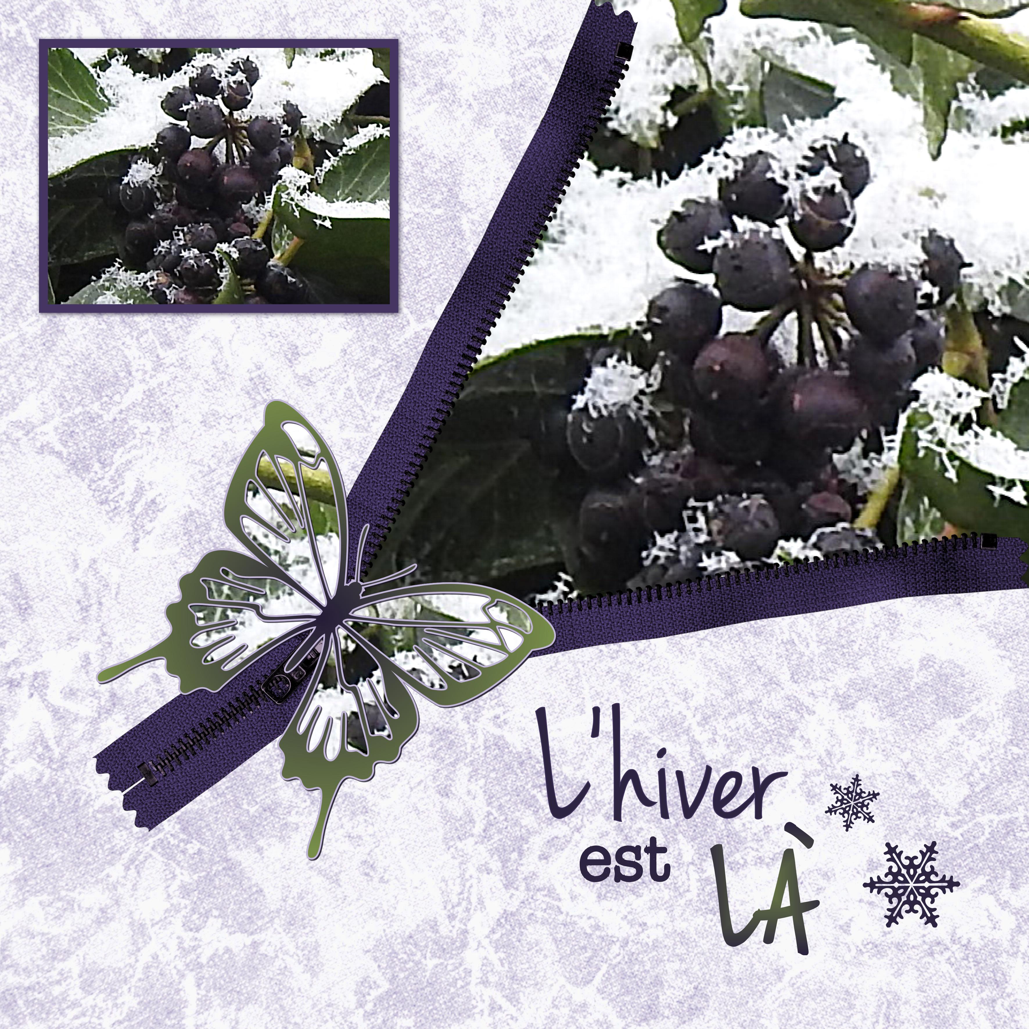 J-n78 - L'HIVER EST LA.jpg