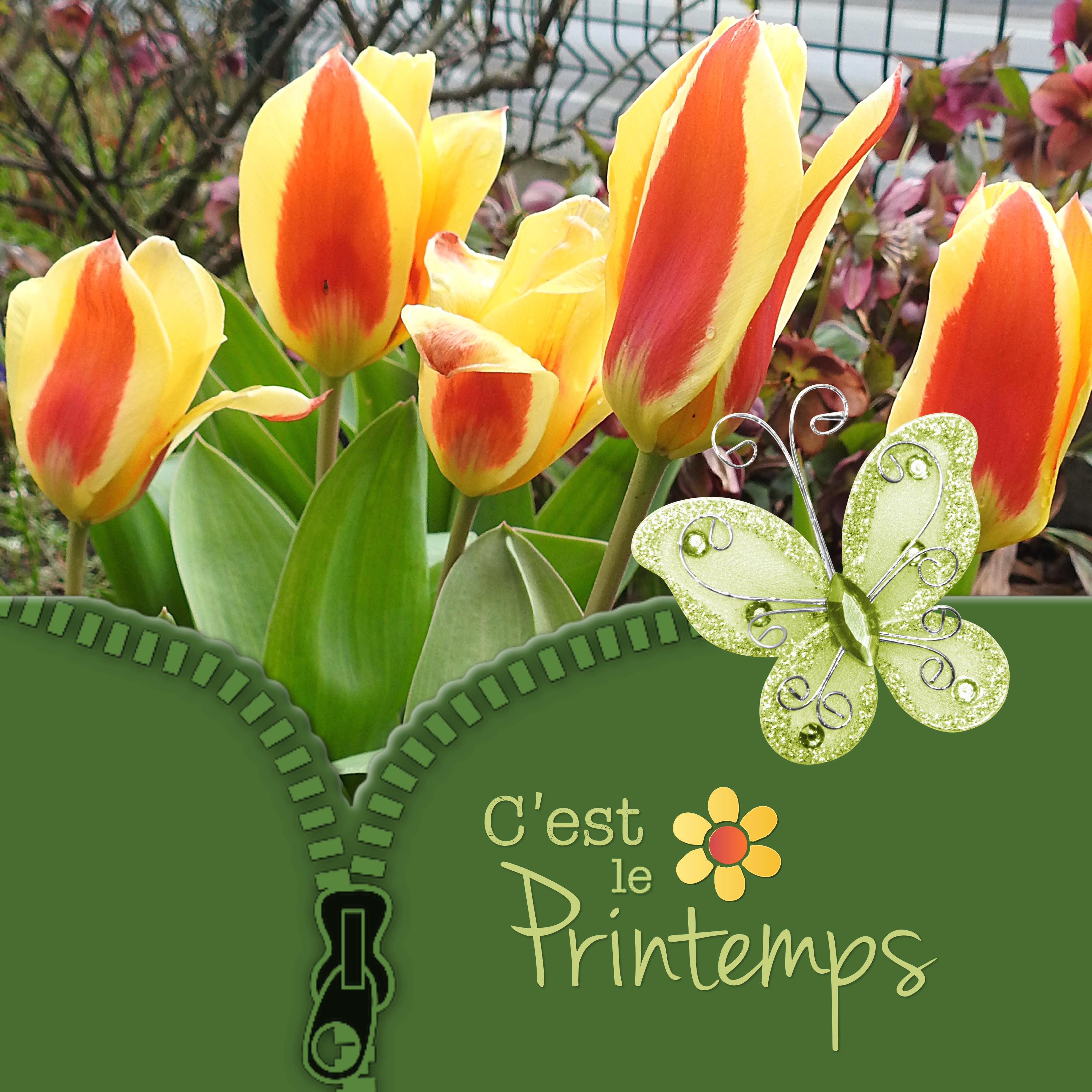 J-n79 - C'EST LE PRINTEMPS.jpg