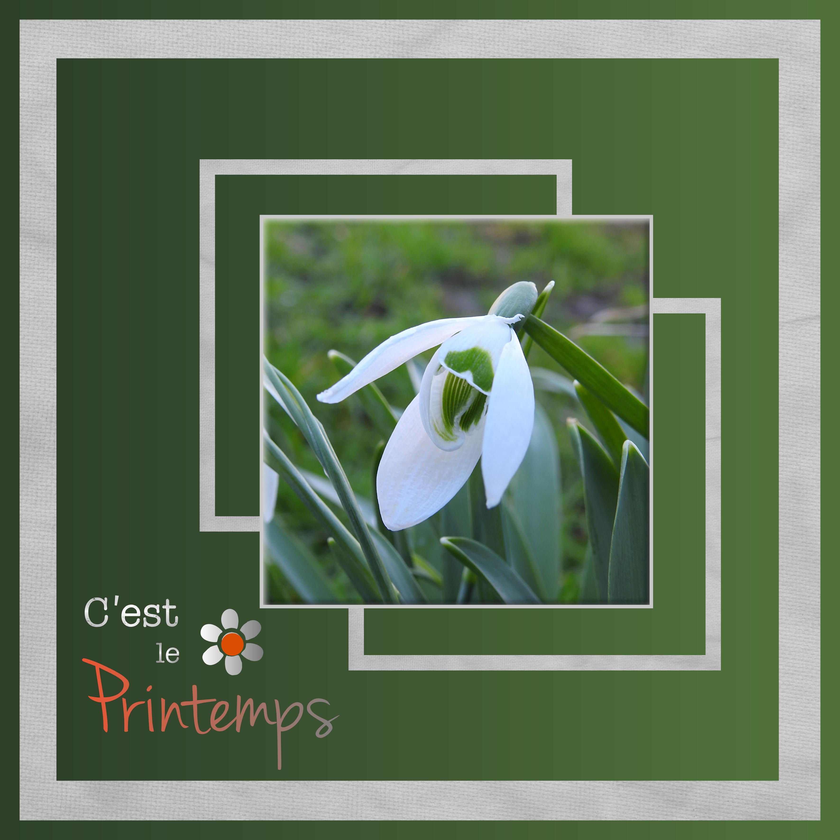 J-n81 - C'EST LE PRINTEMPS.jpg