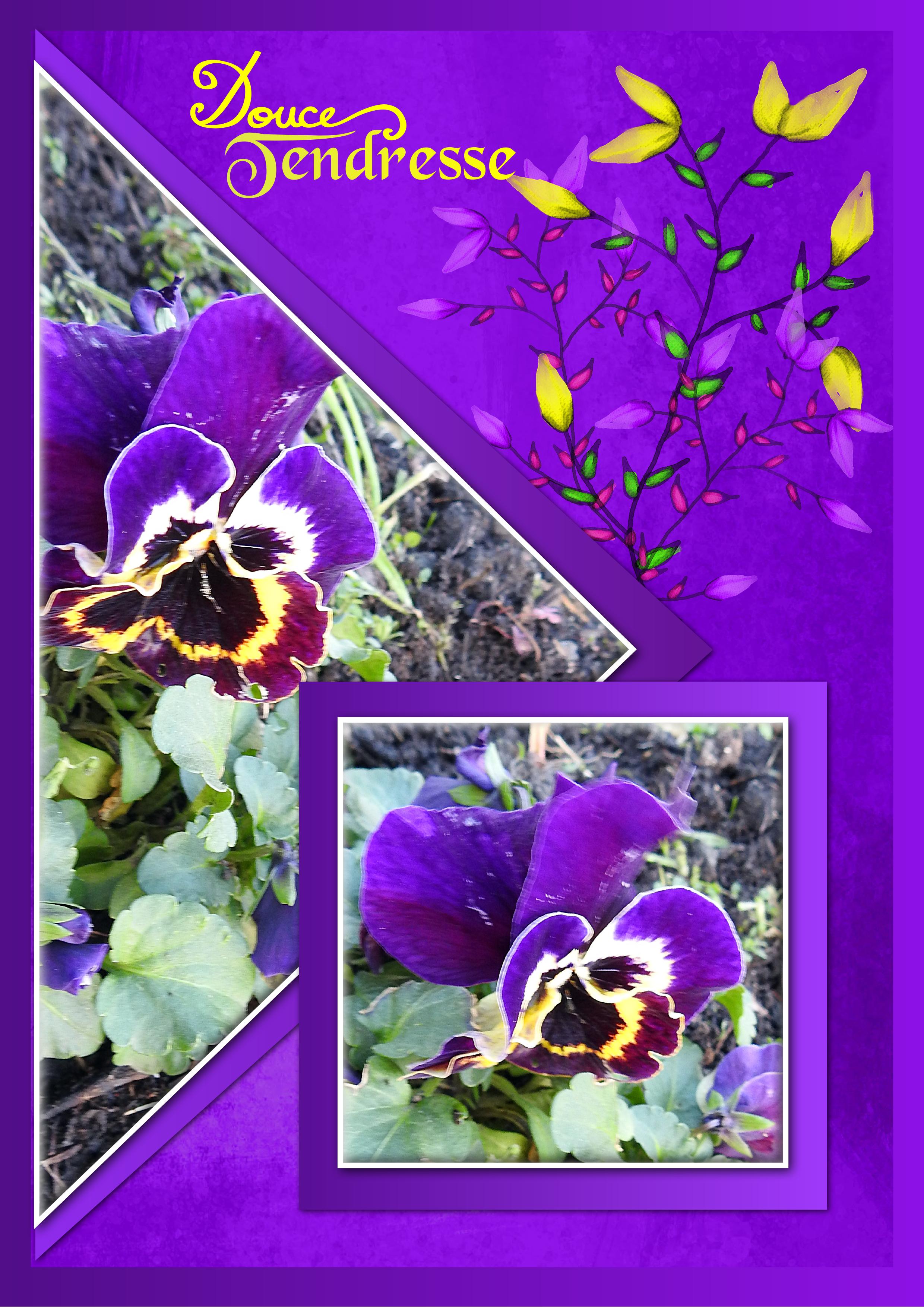 J-n82 - DOUCE TENDRESSE.jpg