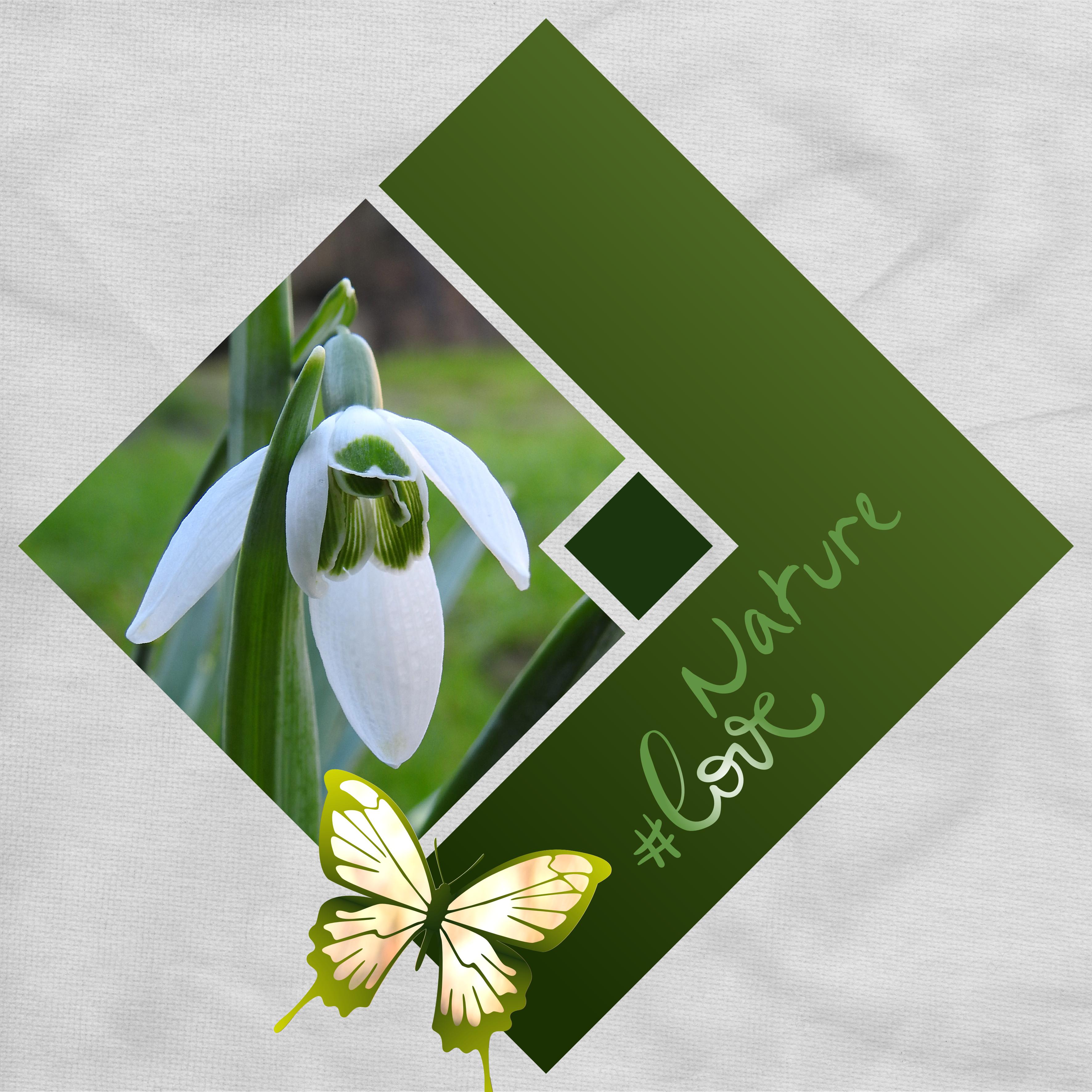 J-n82 - LOVE NATURE.jpg