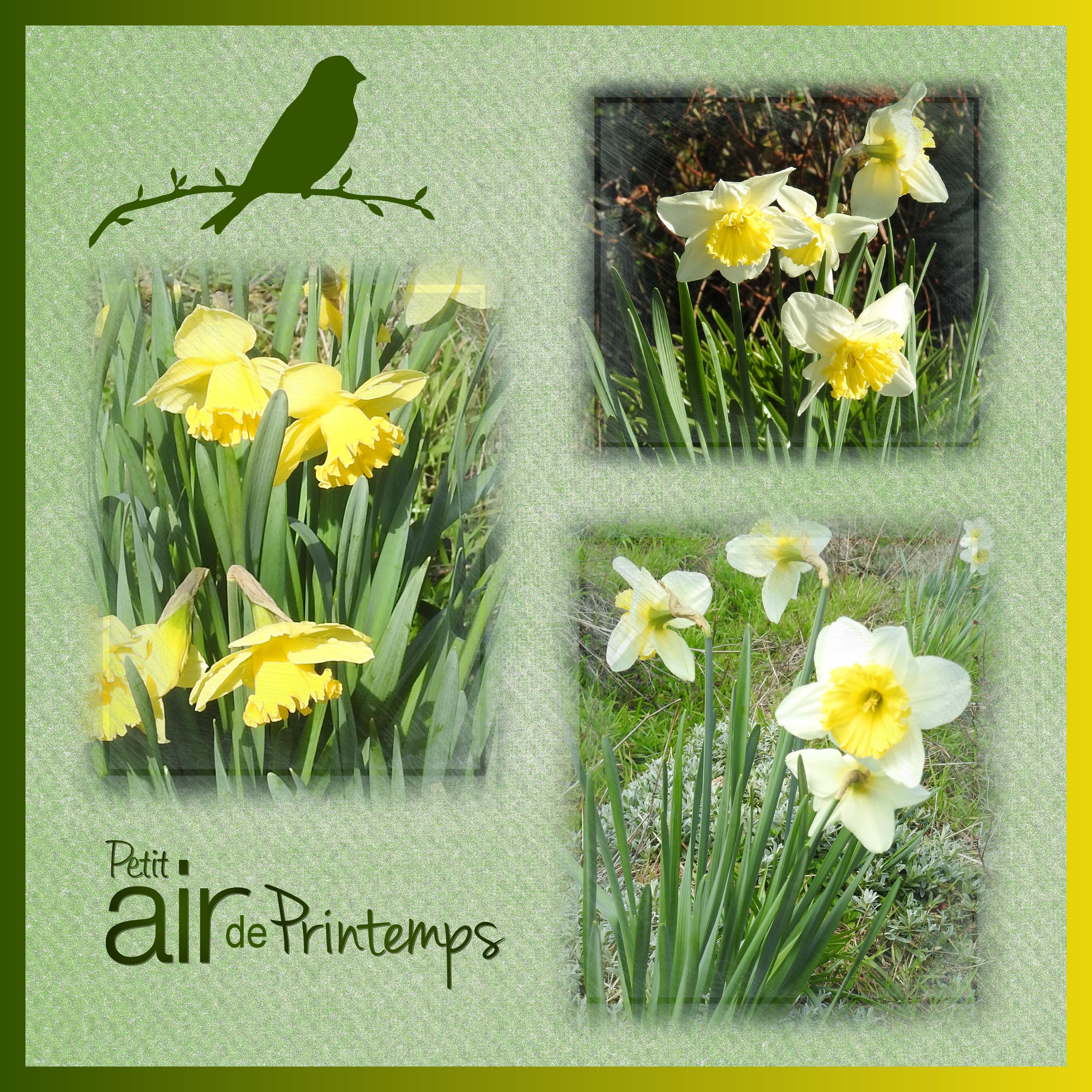 J-n82 - PETIT AIR DE PRINTEMPS.jpg