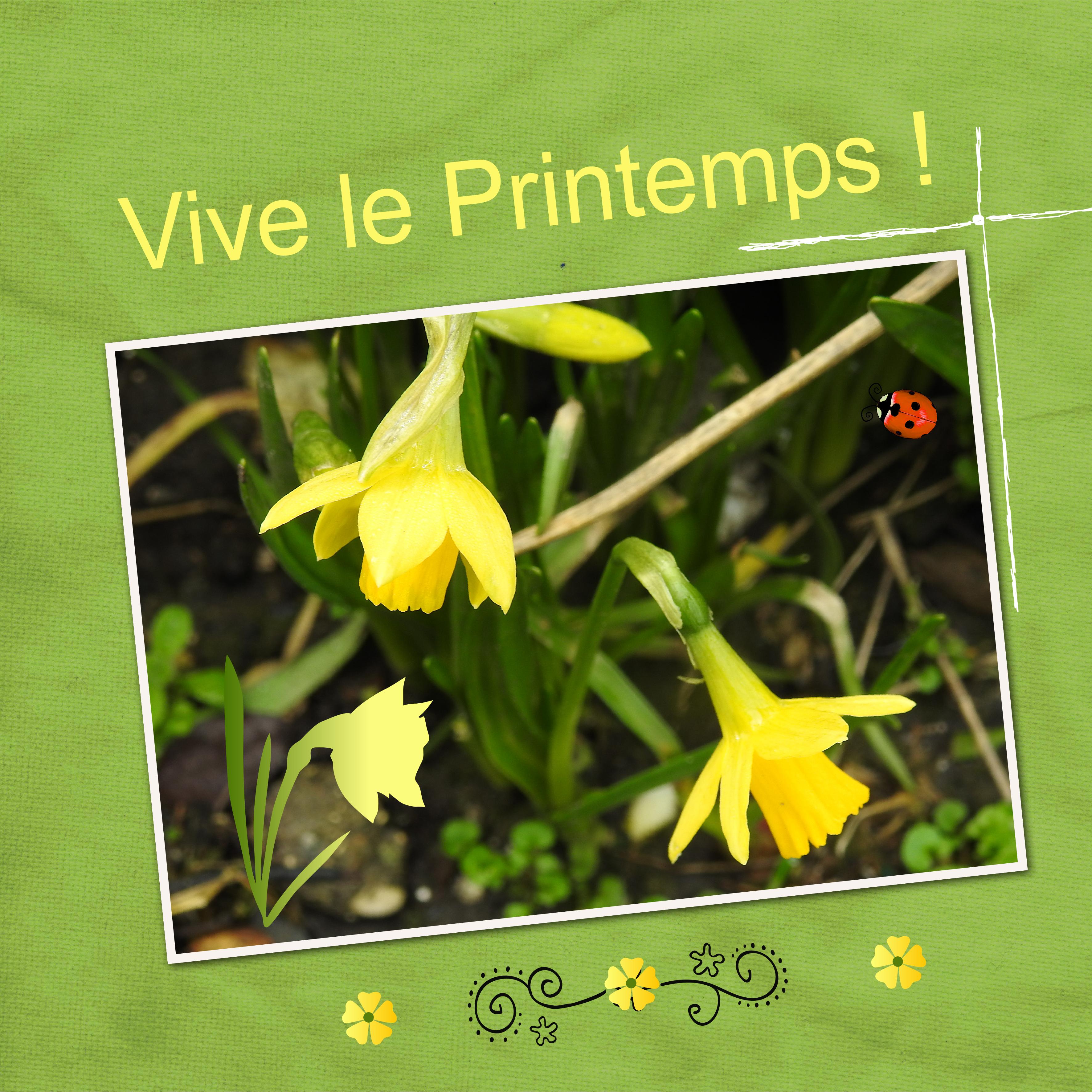 J-n82 - VIVE LE PRINTEMPS.jpg