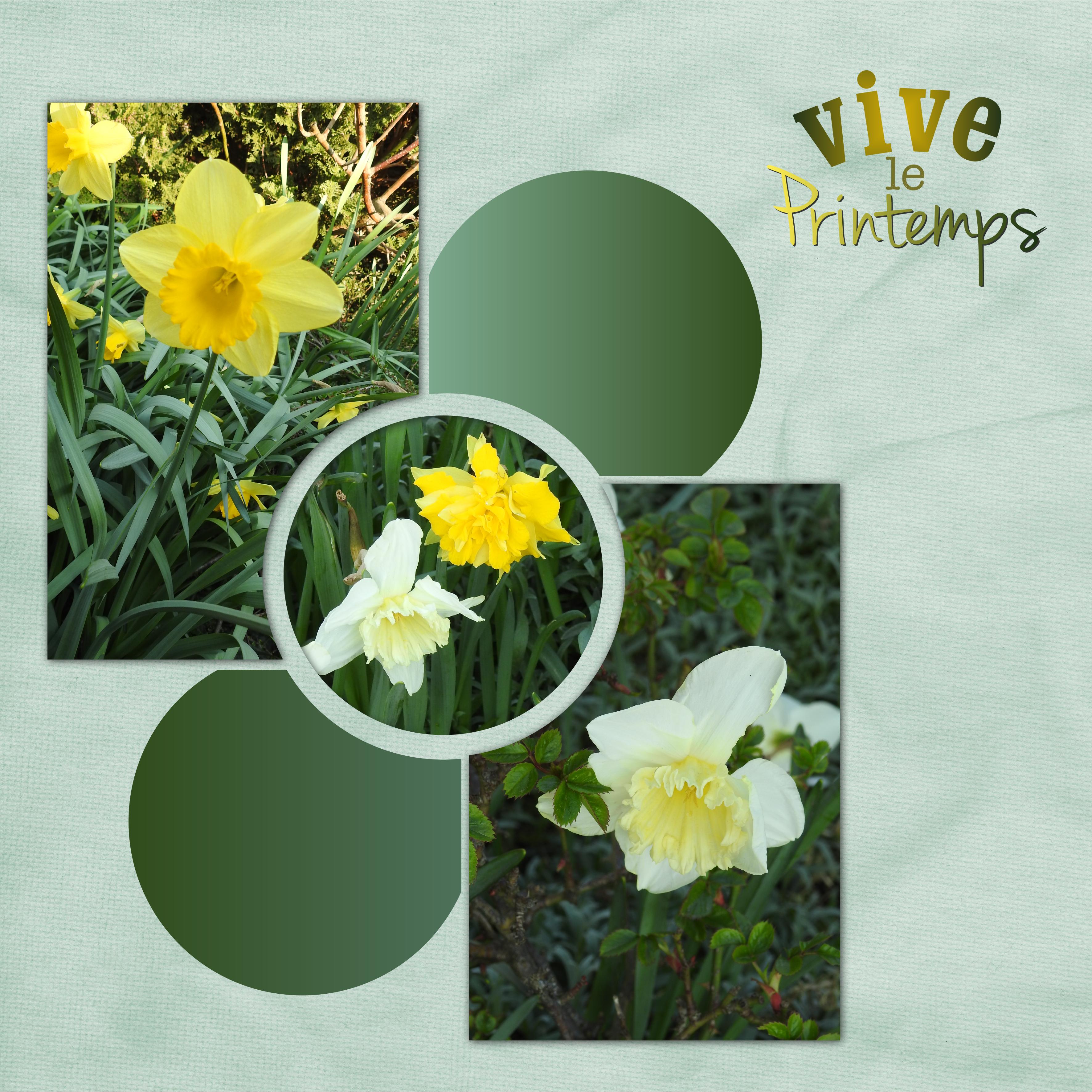 J-n83 - VIVE LE PRINTEMPS.jpg