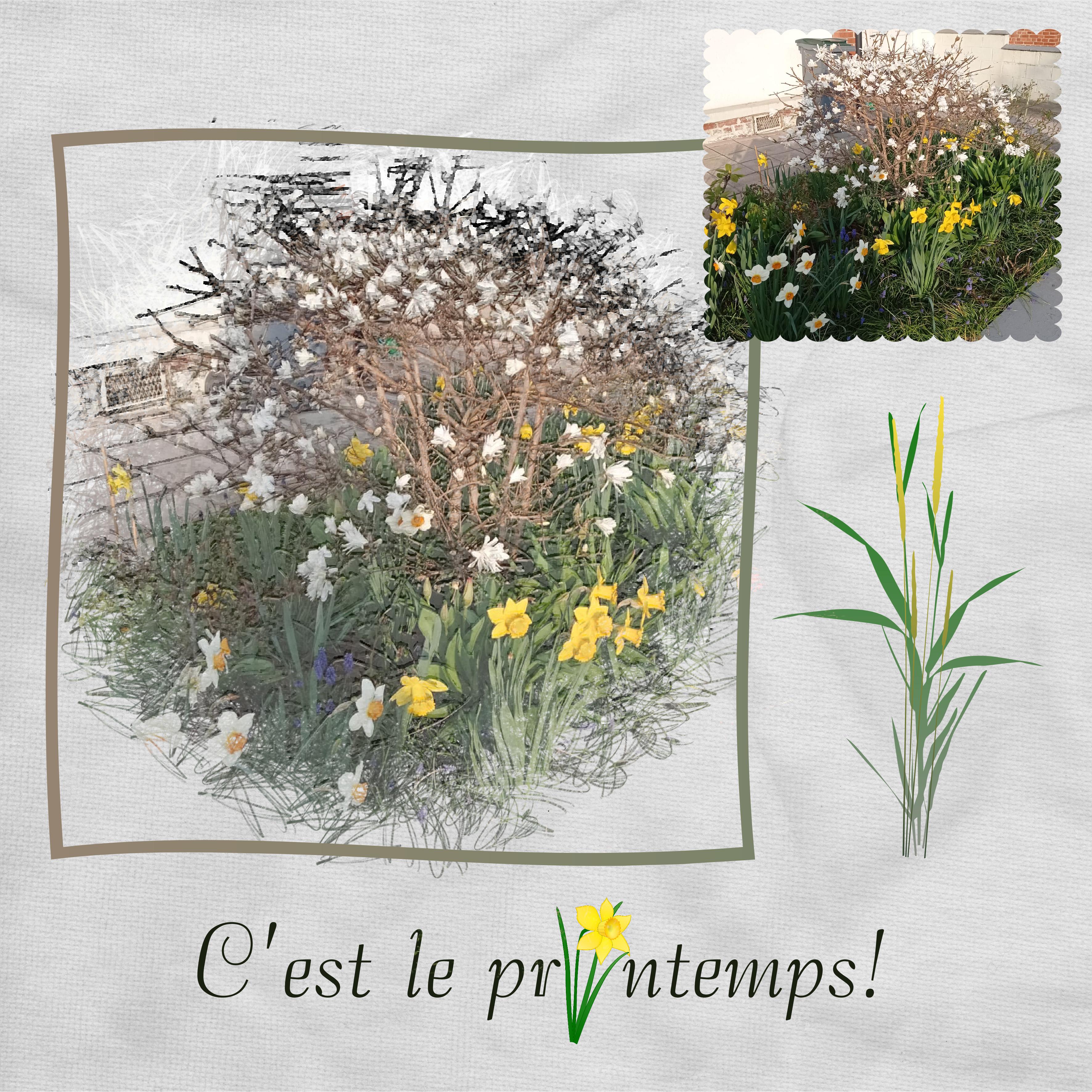 J-n84 - C'EST LE PRINTEMPS.jpg